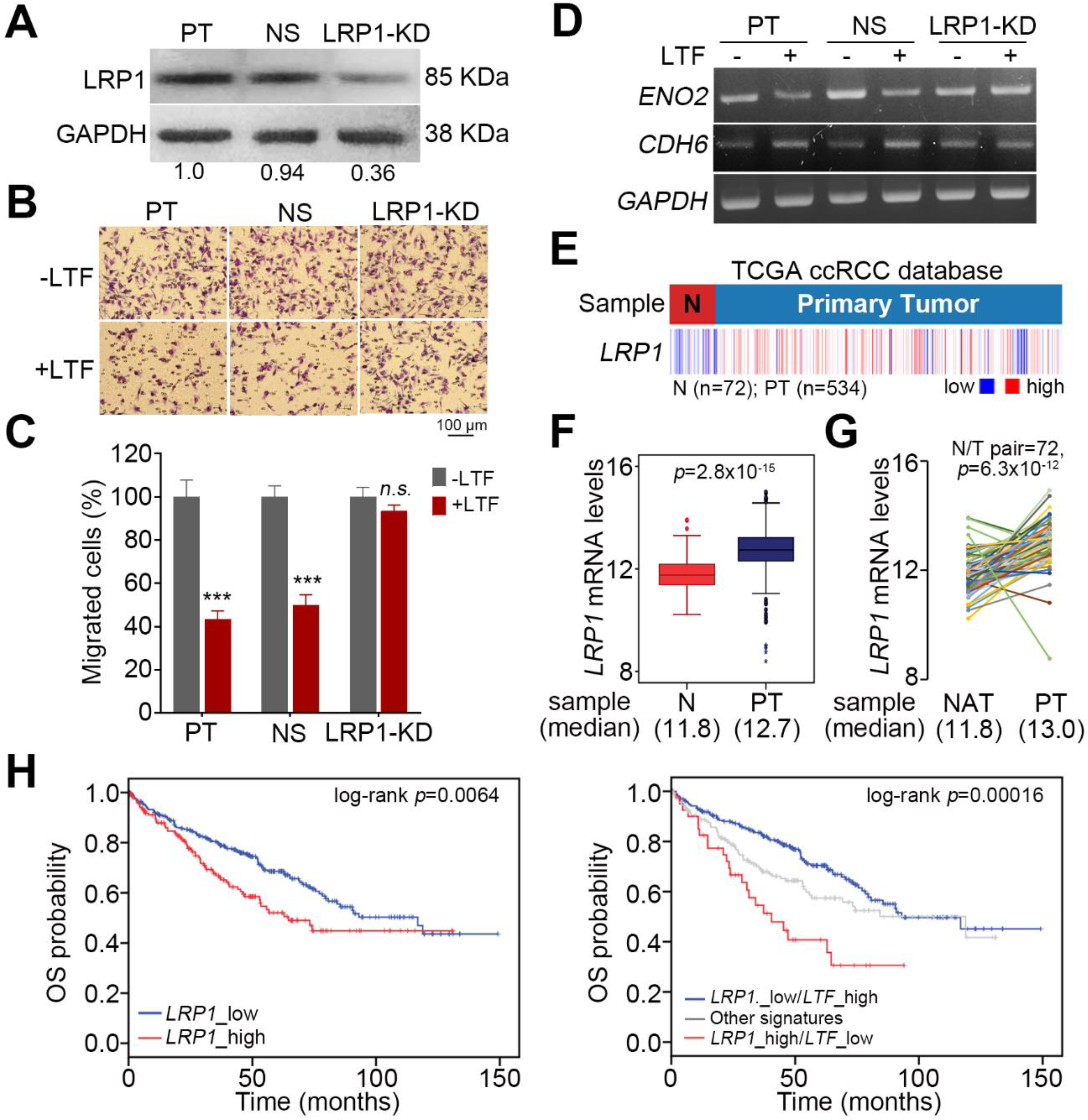 Cancers 12 00847 g006