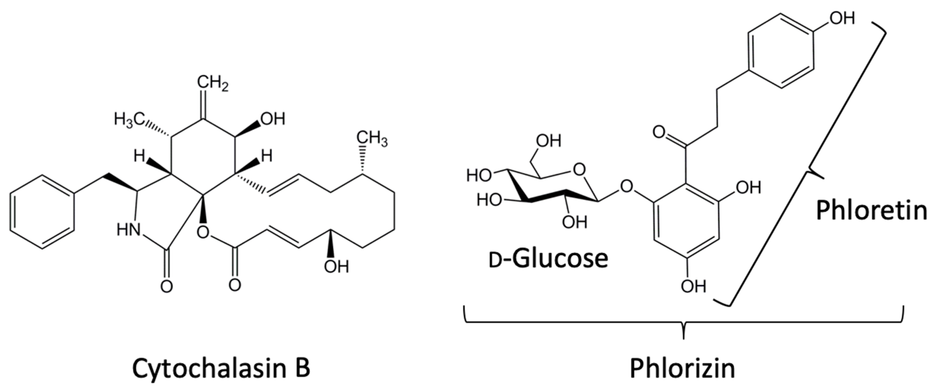 Cancers 12 00850 g001 Cancers 12 00850 g001