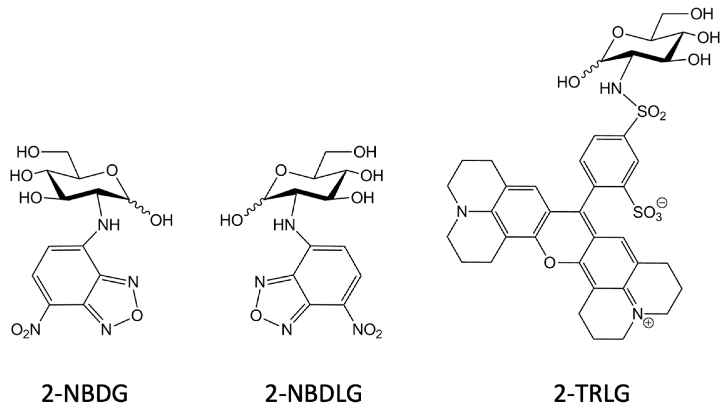 Cancers 12 00850 g002 Cancers 12 00850 g002