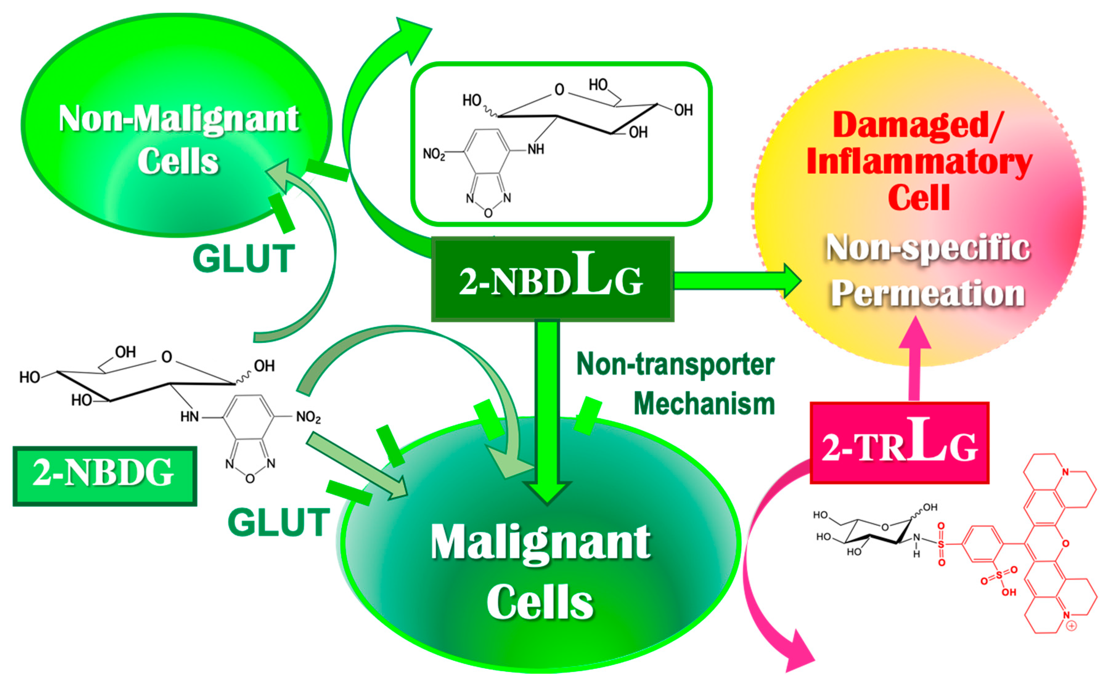 Cancers 12 00850 g006 Cancers 12 00850 g006