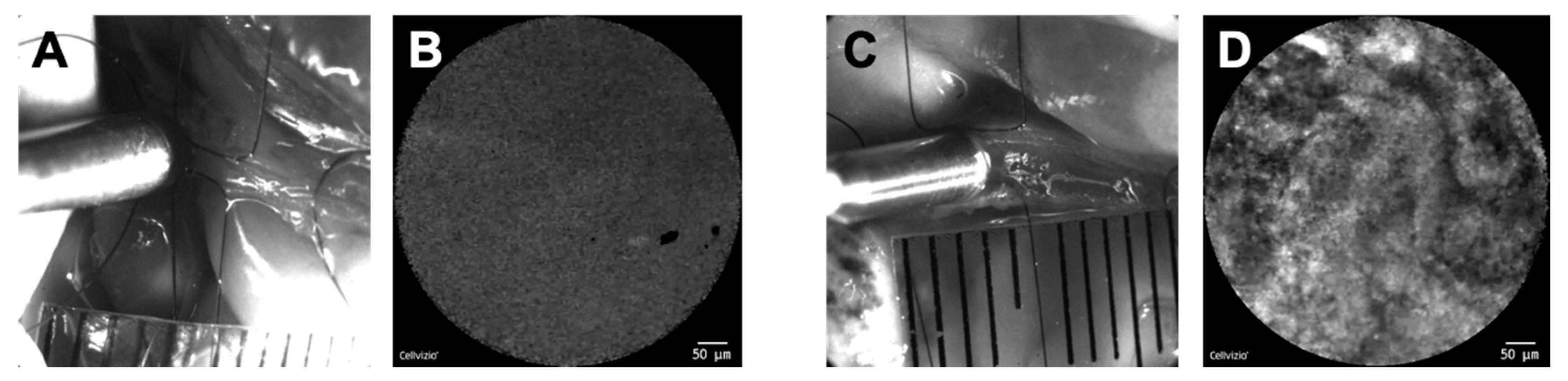 Cancers 12 00850 g007 Cancers 12 00850 g007