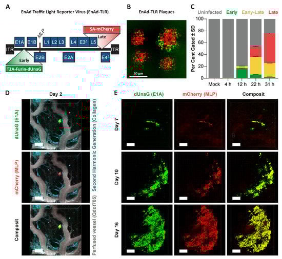 Cancers 12 00851 g0a4