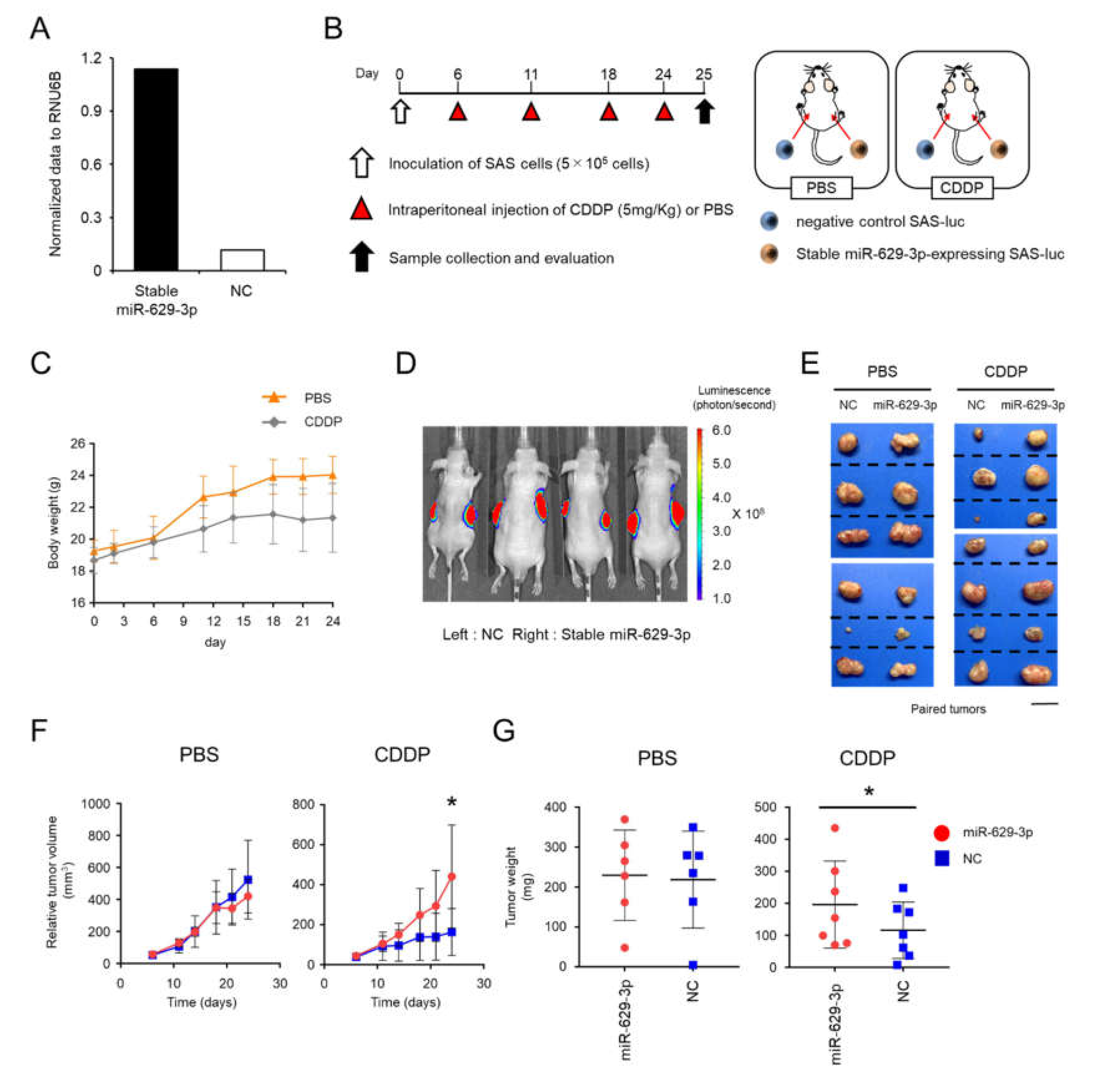 Cancers 12 00856 g006