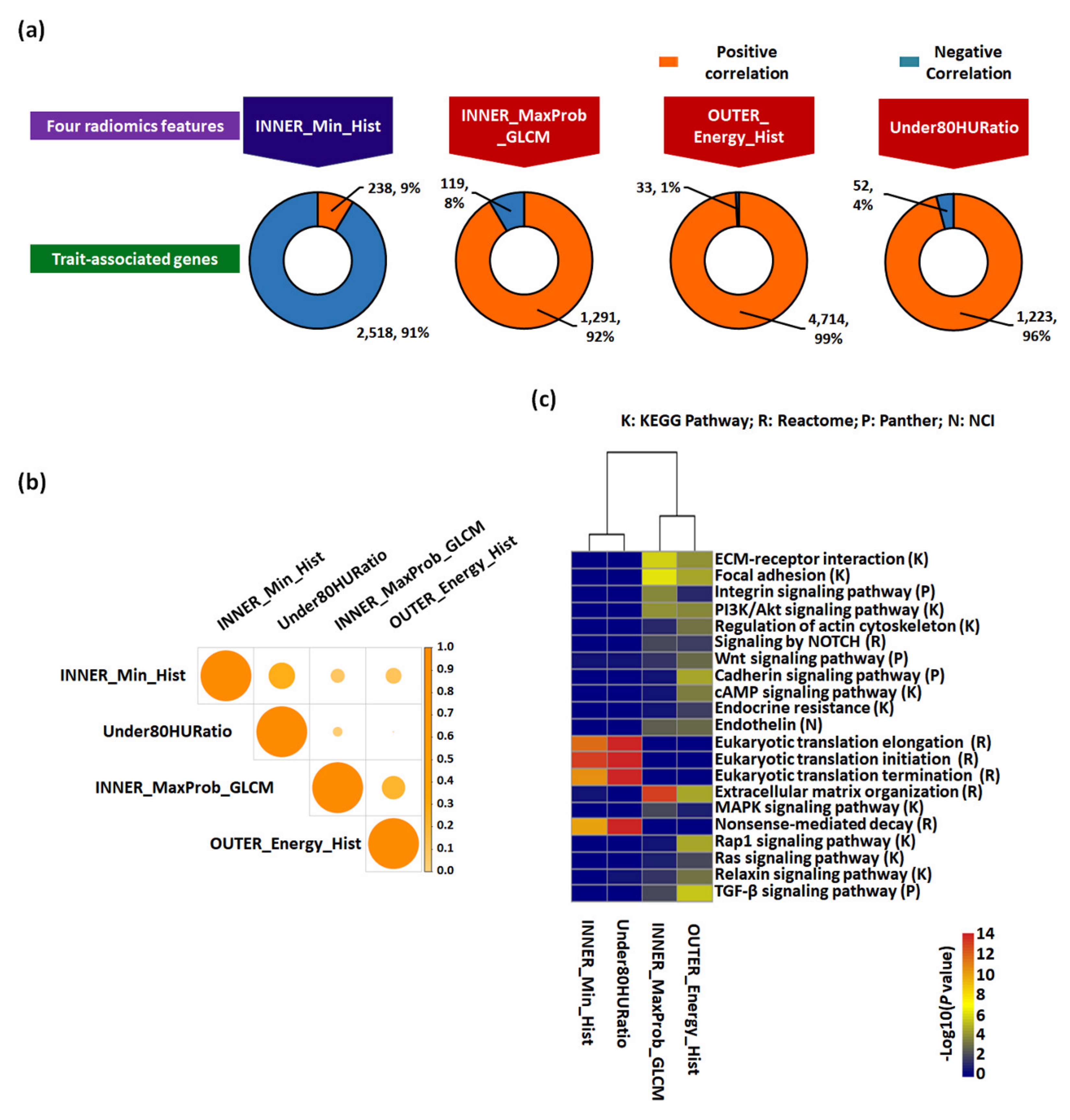 Cancers 12 00866 g003