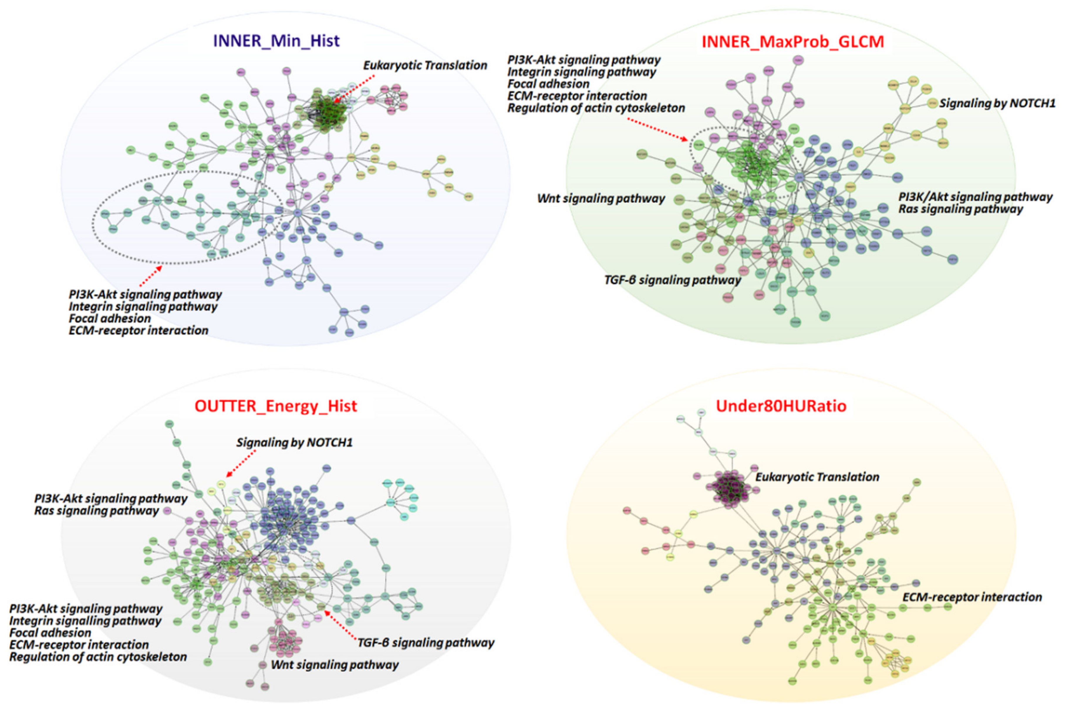 Cancers 12 00866 g004