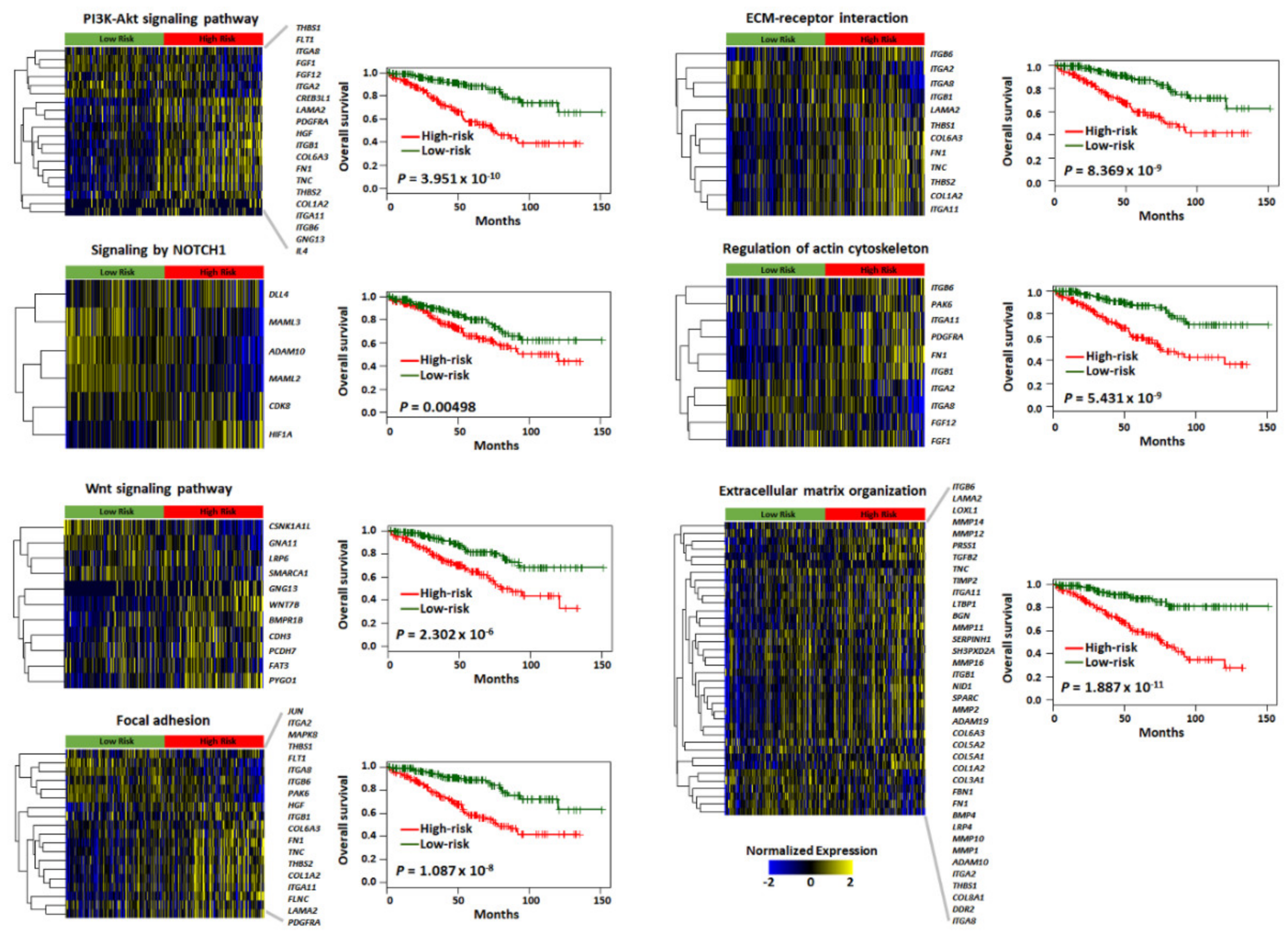 Cancers 12 00866 g005
