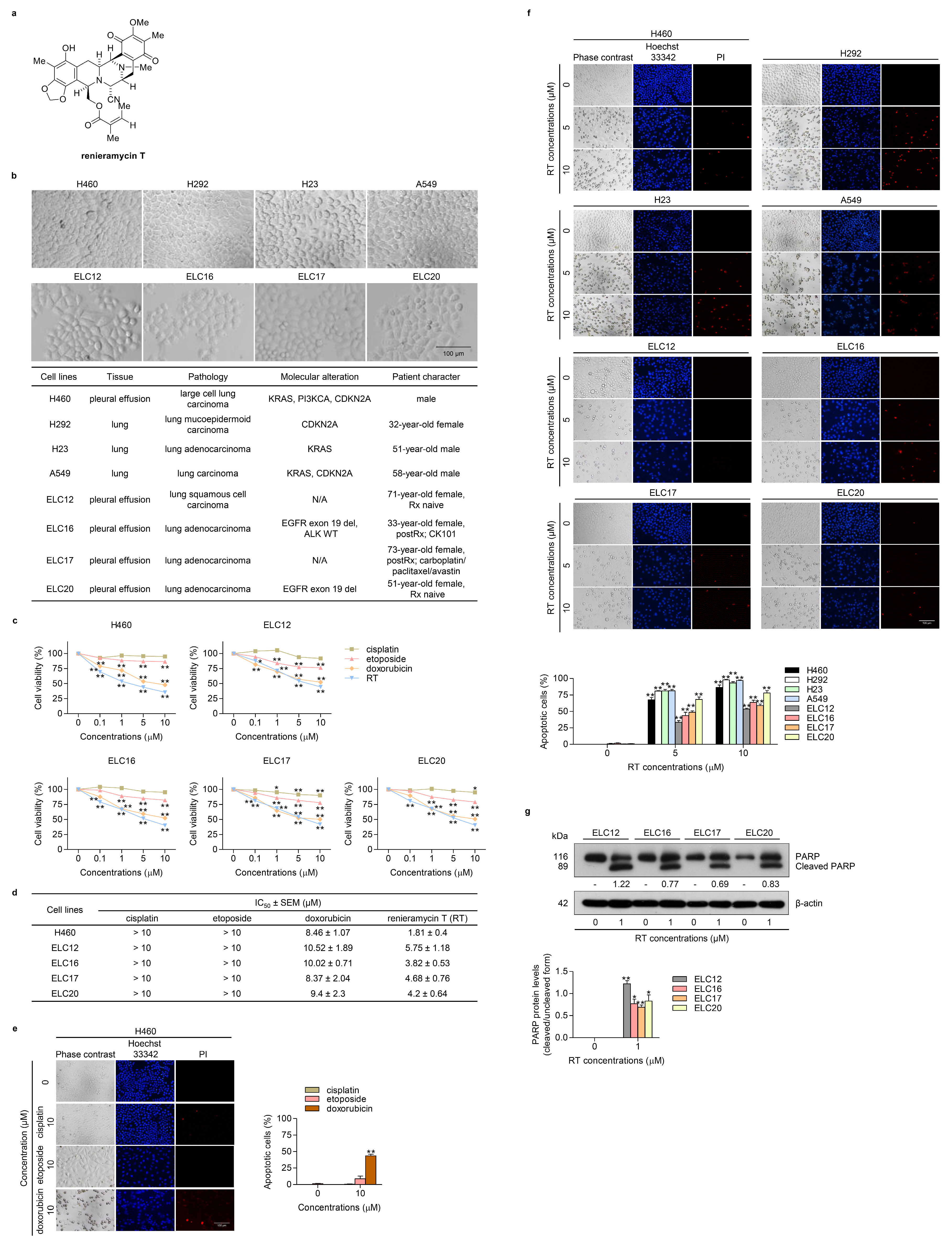 Cancers 12 00875 g001 Cancers 12 00875 g001
