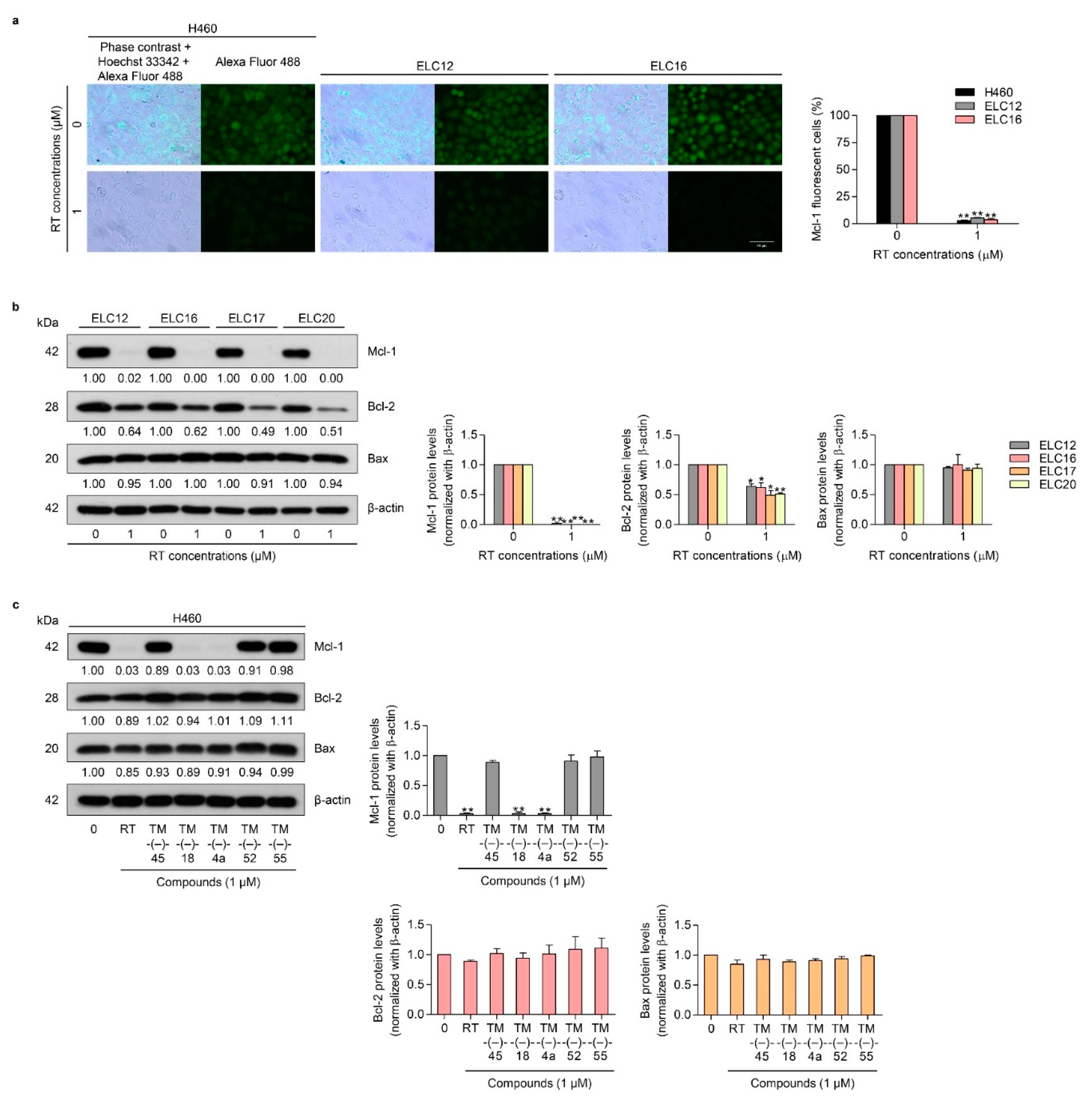 Cancers 12 00875 g003 Cancers 12 00875 g003