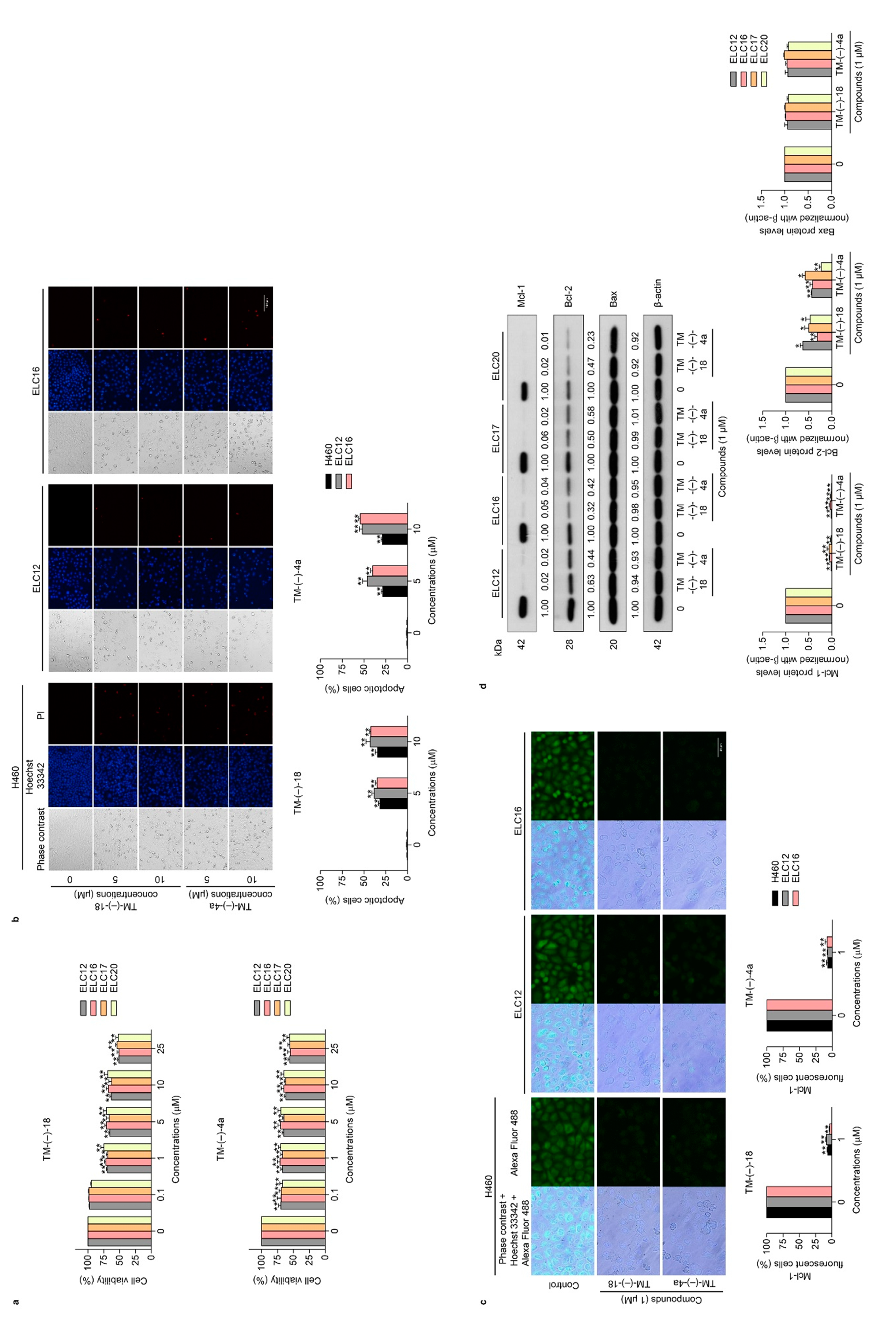 Cancers 12 00875 g004 Cancers 12 00875 g004