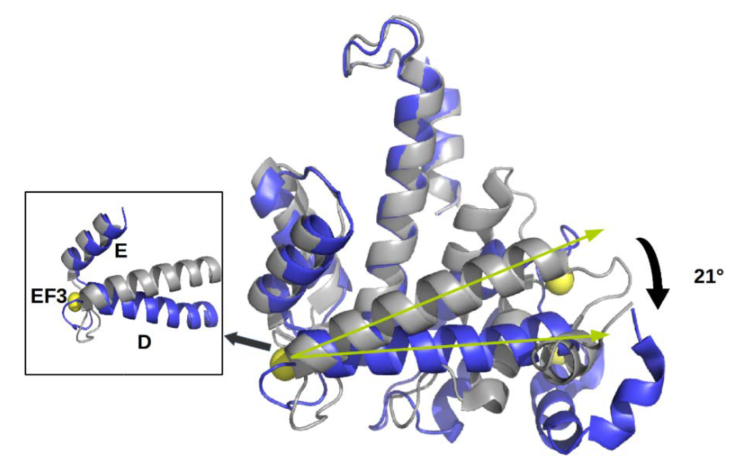 Cancers 12 00887 g002b