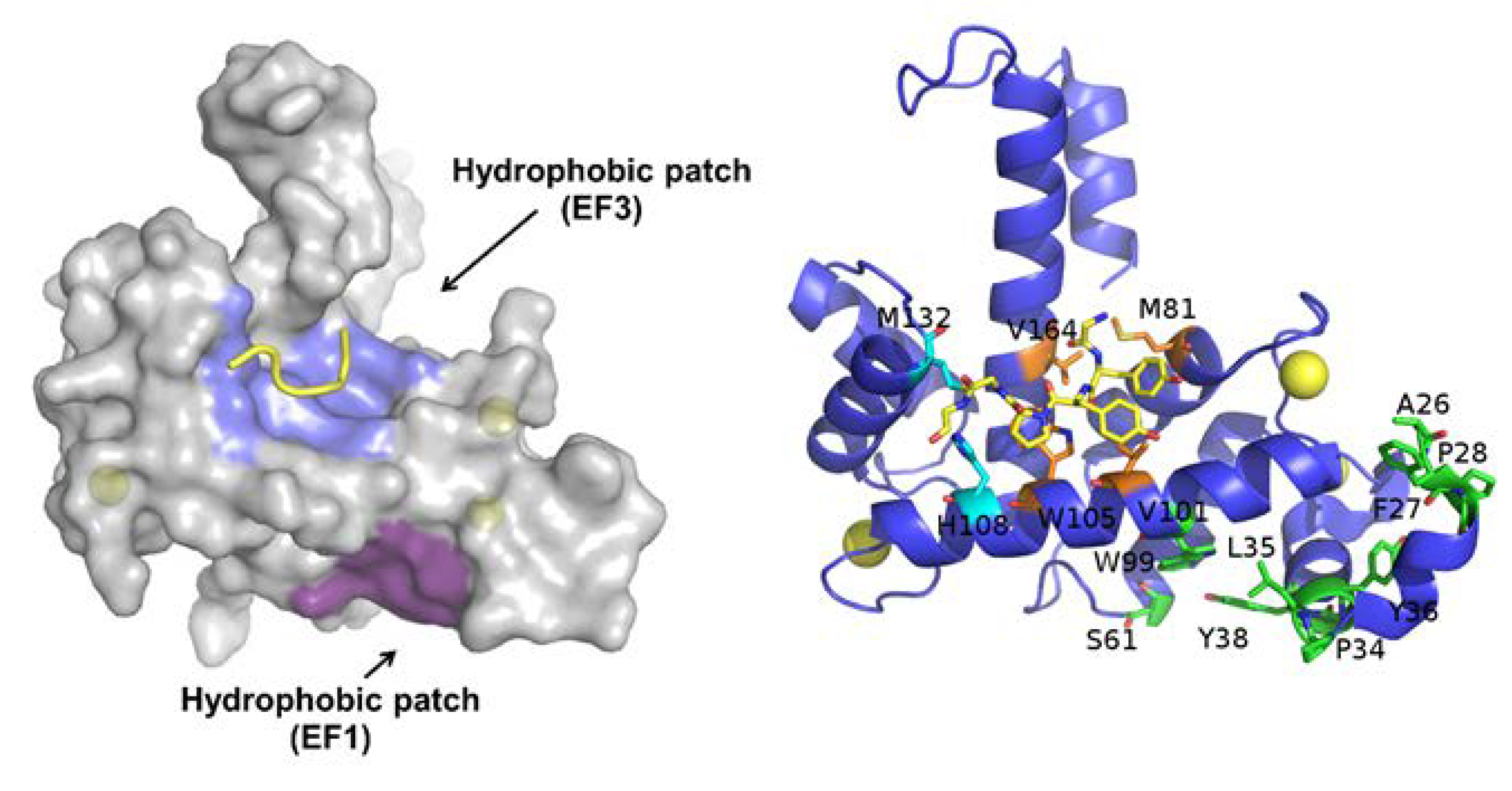 Cancers 12 00887 g003