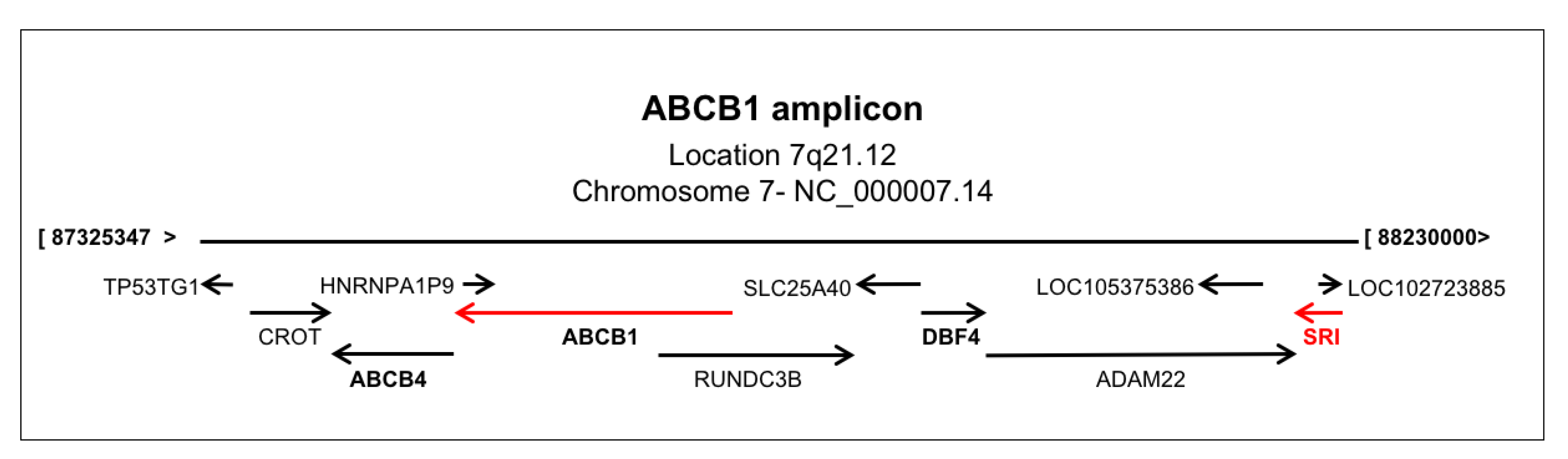 Cancers 12 00887 g005
