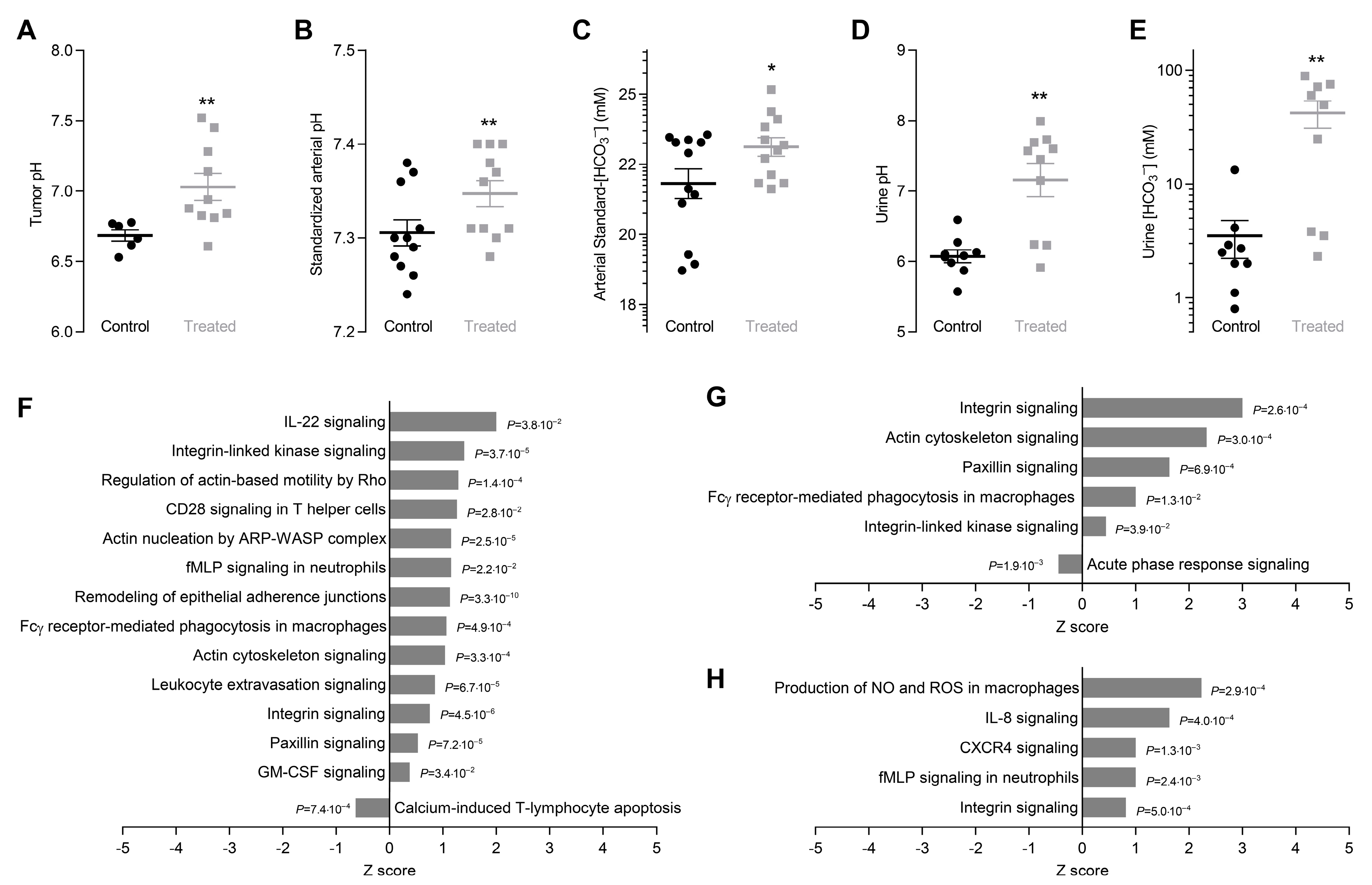 Cancers 12 00891 g001