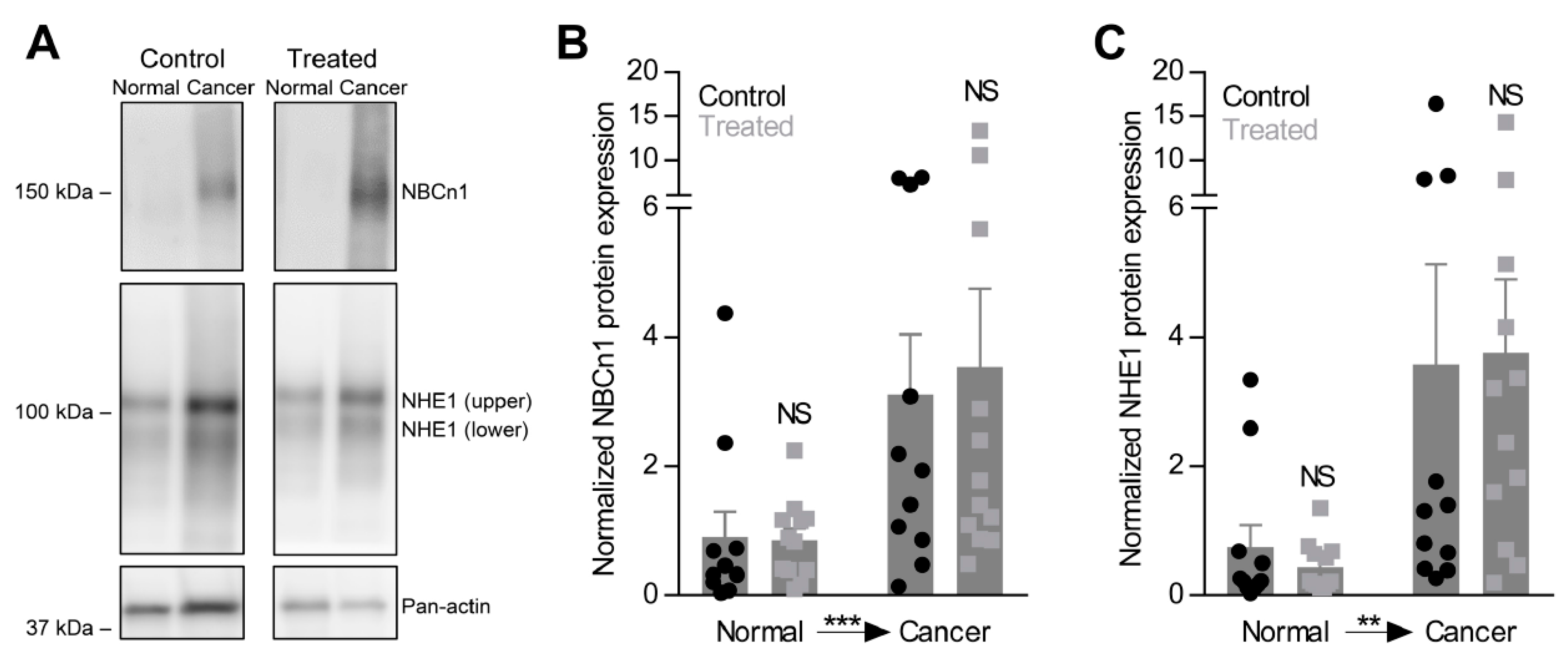 Cancers 12 00891 g005