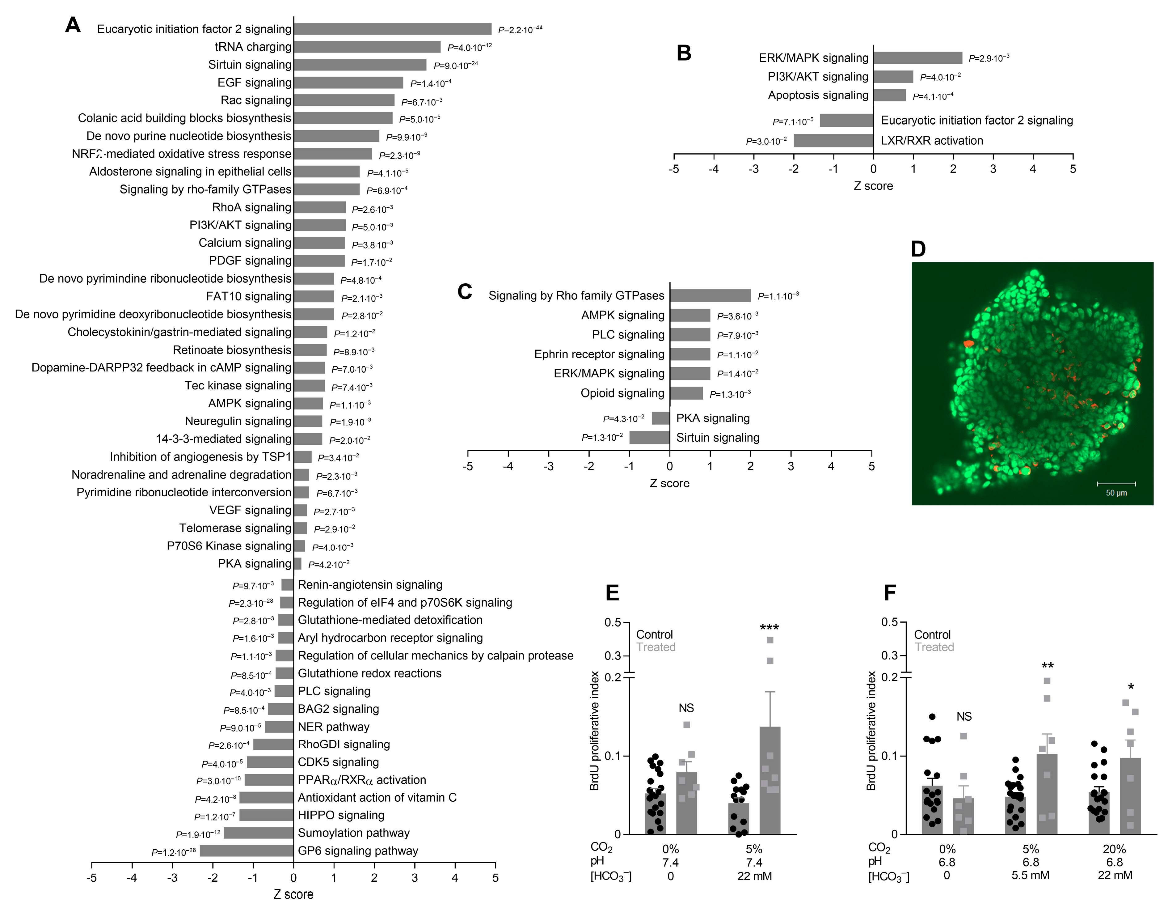 Cancers 12 00891 g006
