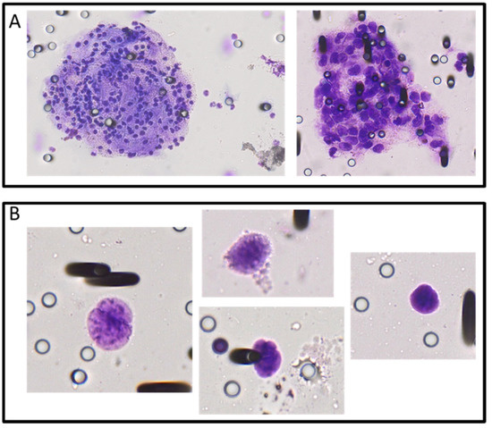 Cancers 12 00896 g0a2