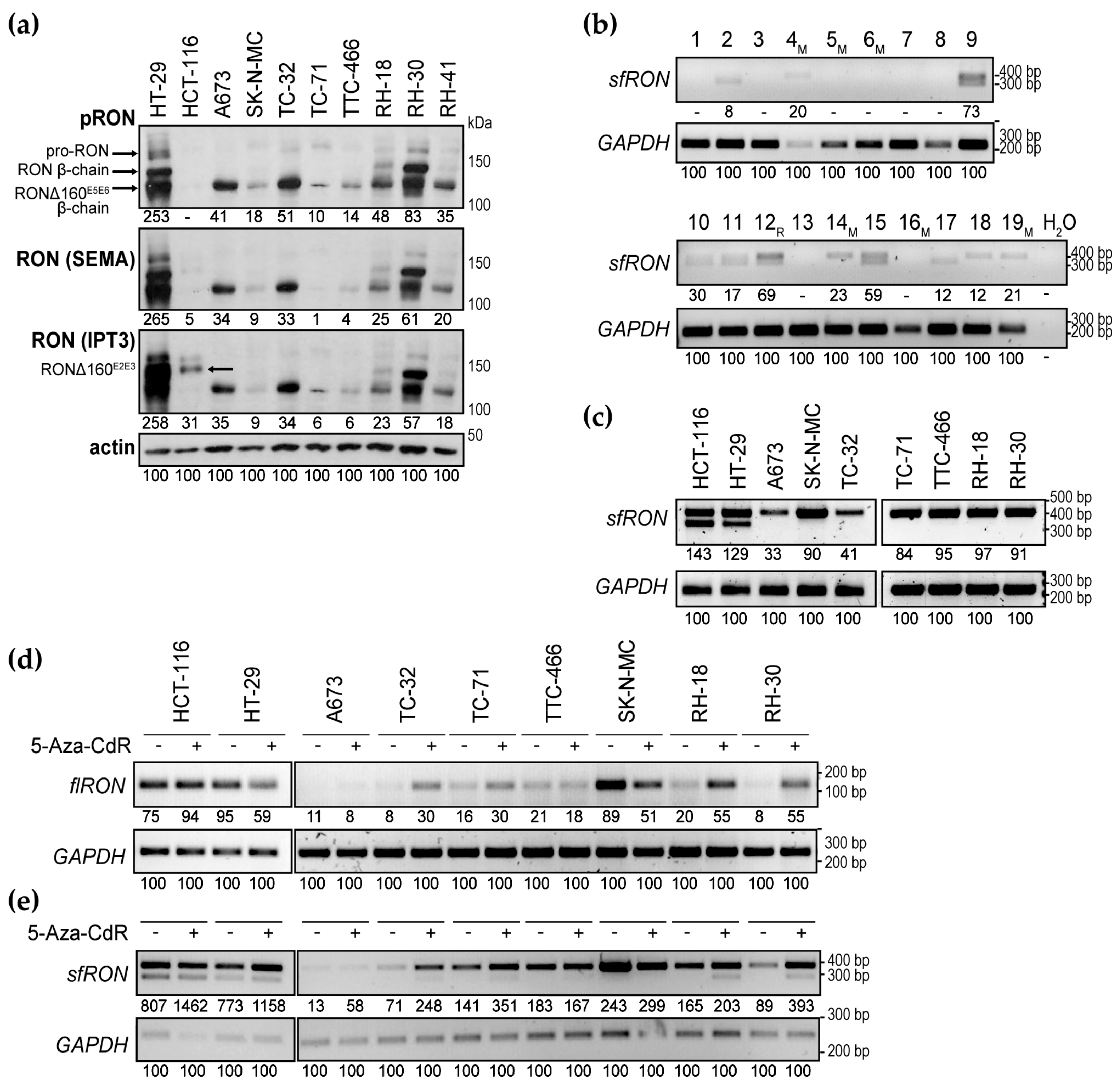 Cancers 12 00904 g005