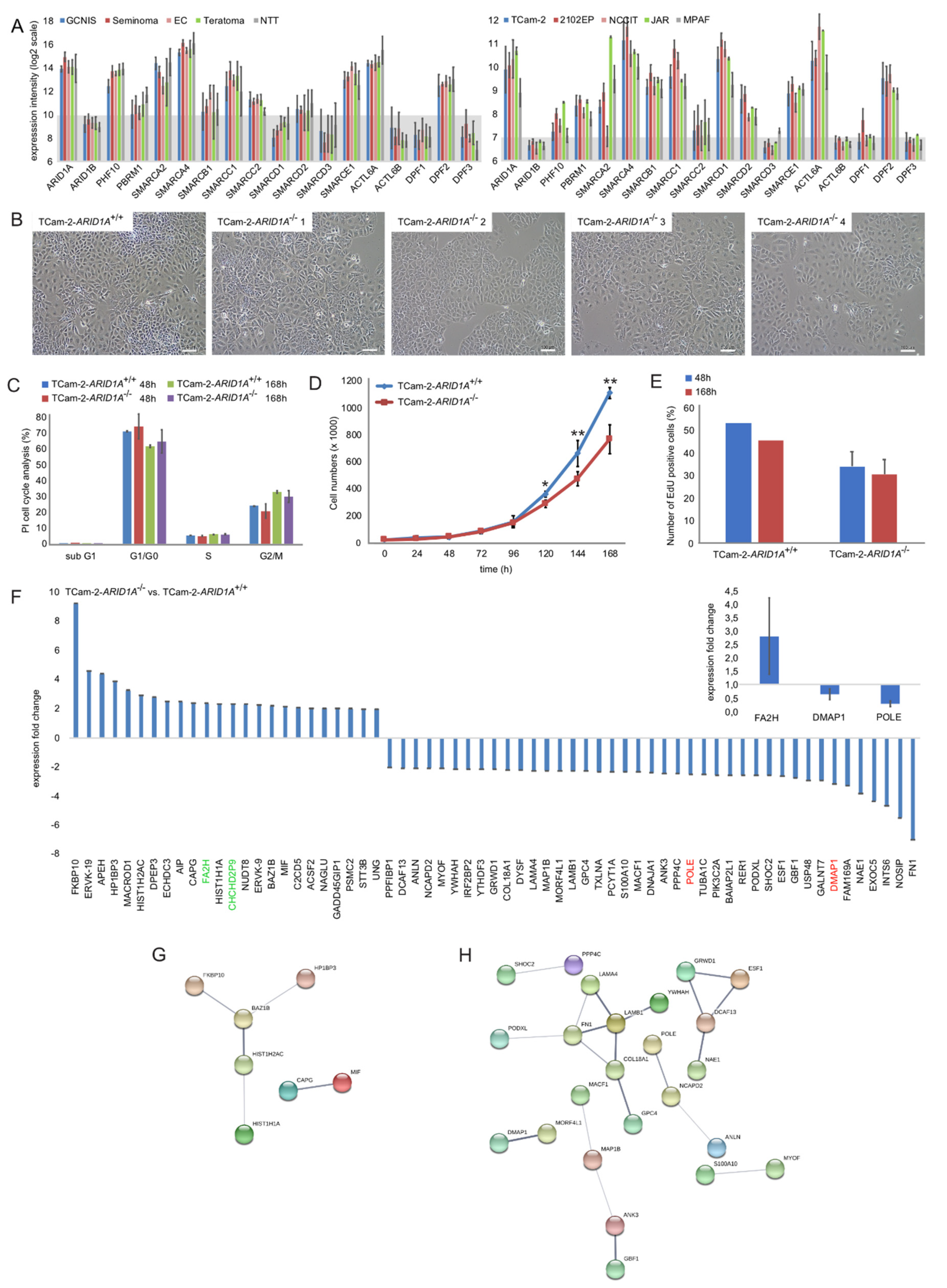 Cancers 12 00905 g001 Cancers 12 00905 g001