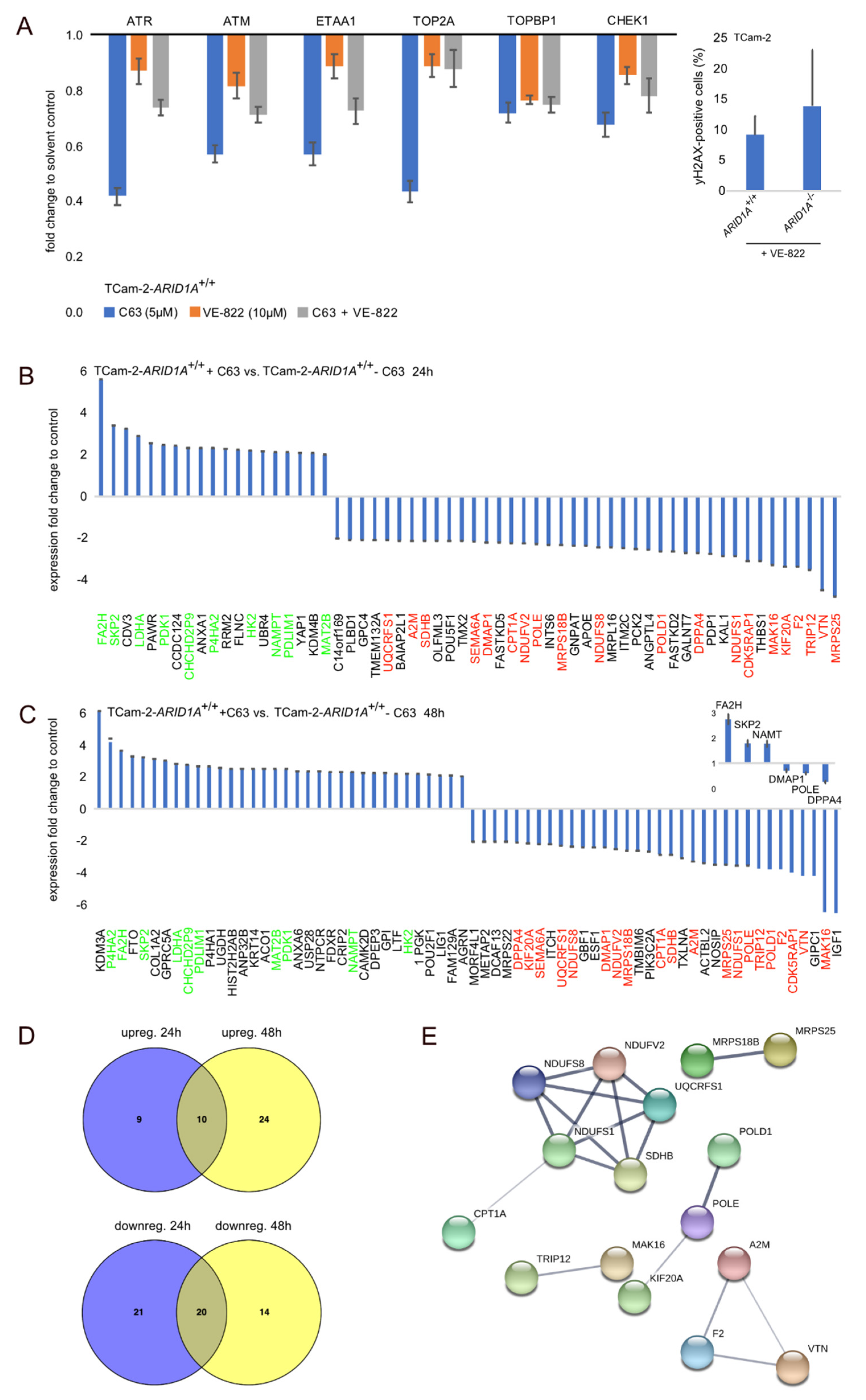 Cancers 12 00905 g003 Cancers 12 00905 g003