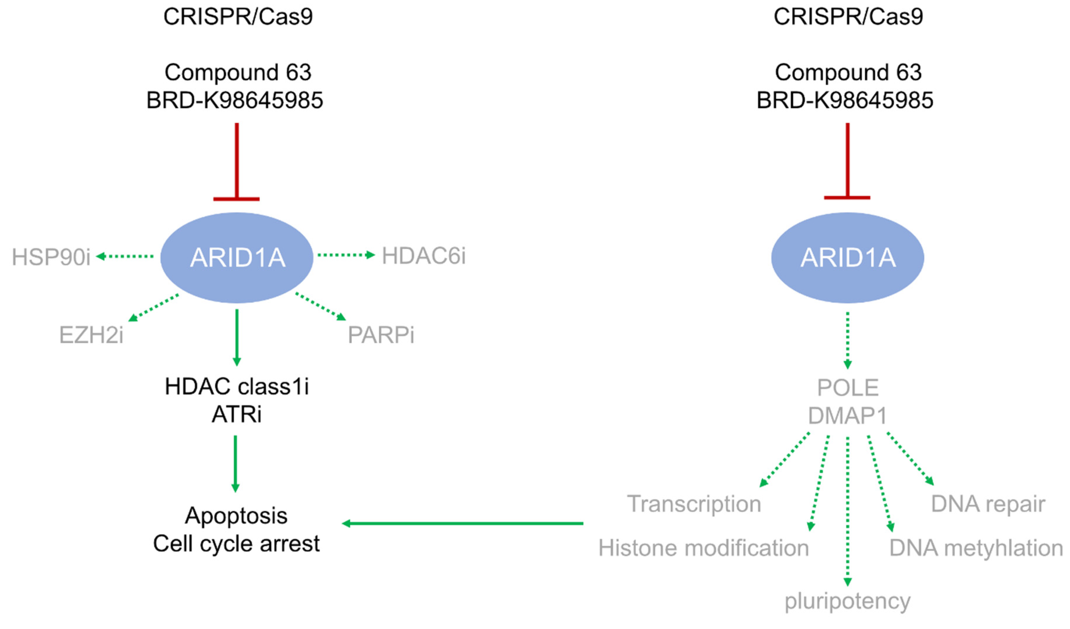 Cancers 12 00905 g004 Cancers 12 00905 g004