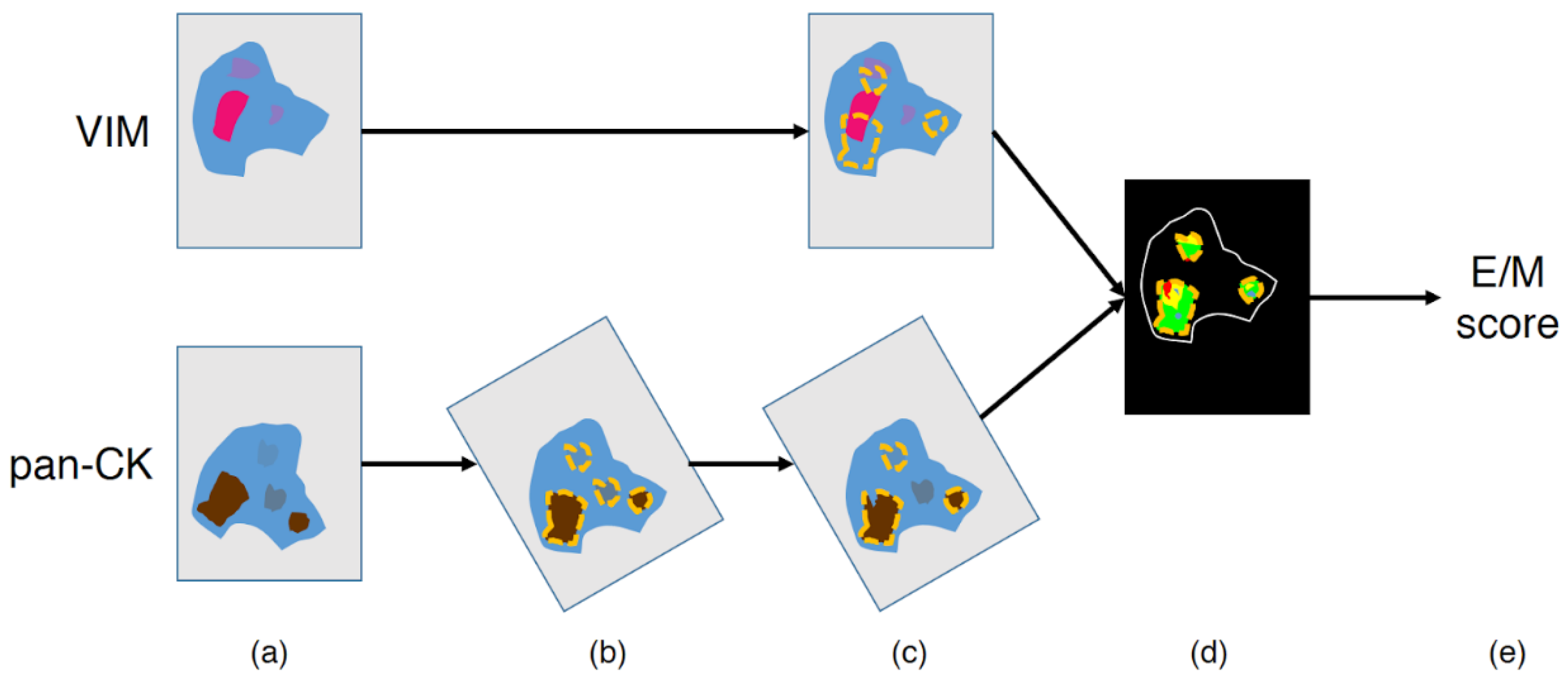 Cancers 12 00906 g002