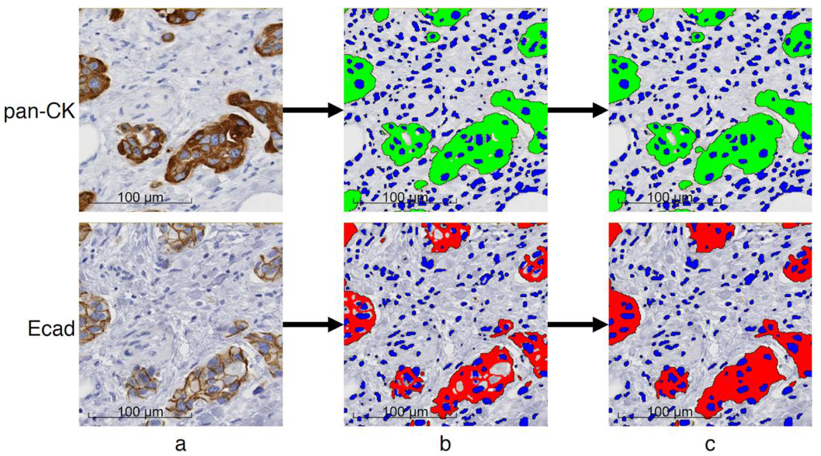 Cancers 12 00906 g0a1