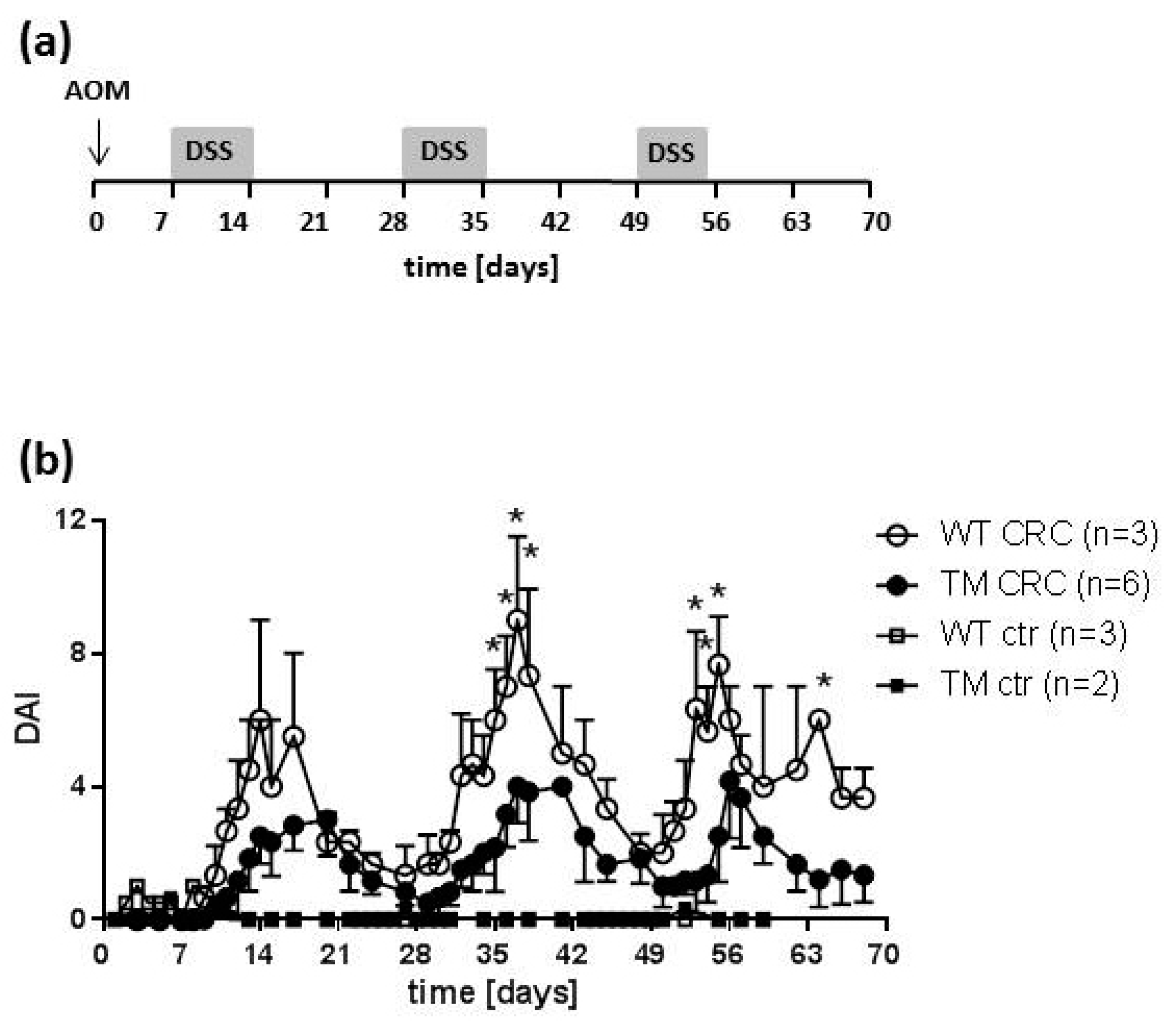 Cancers 12 00912 g001