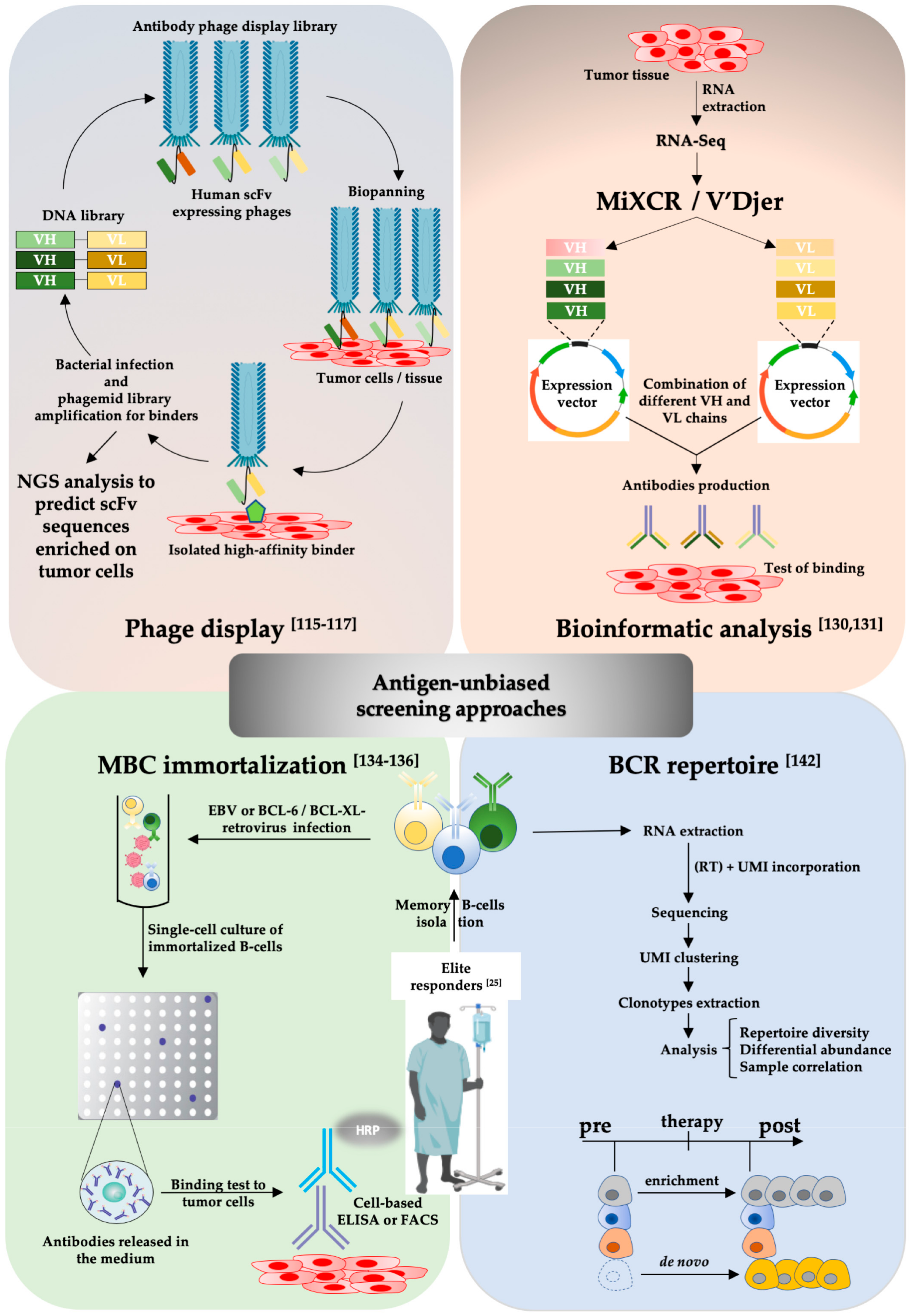 Cancers 12 00915 g002