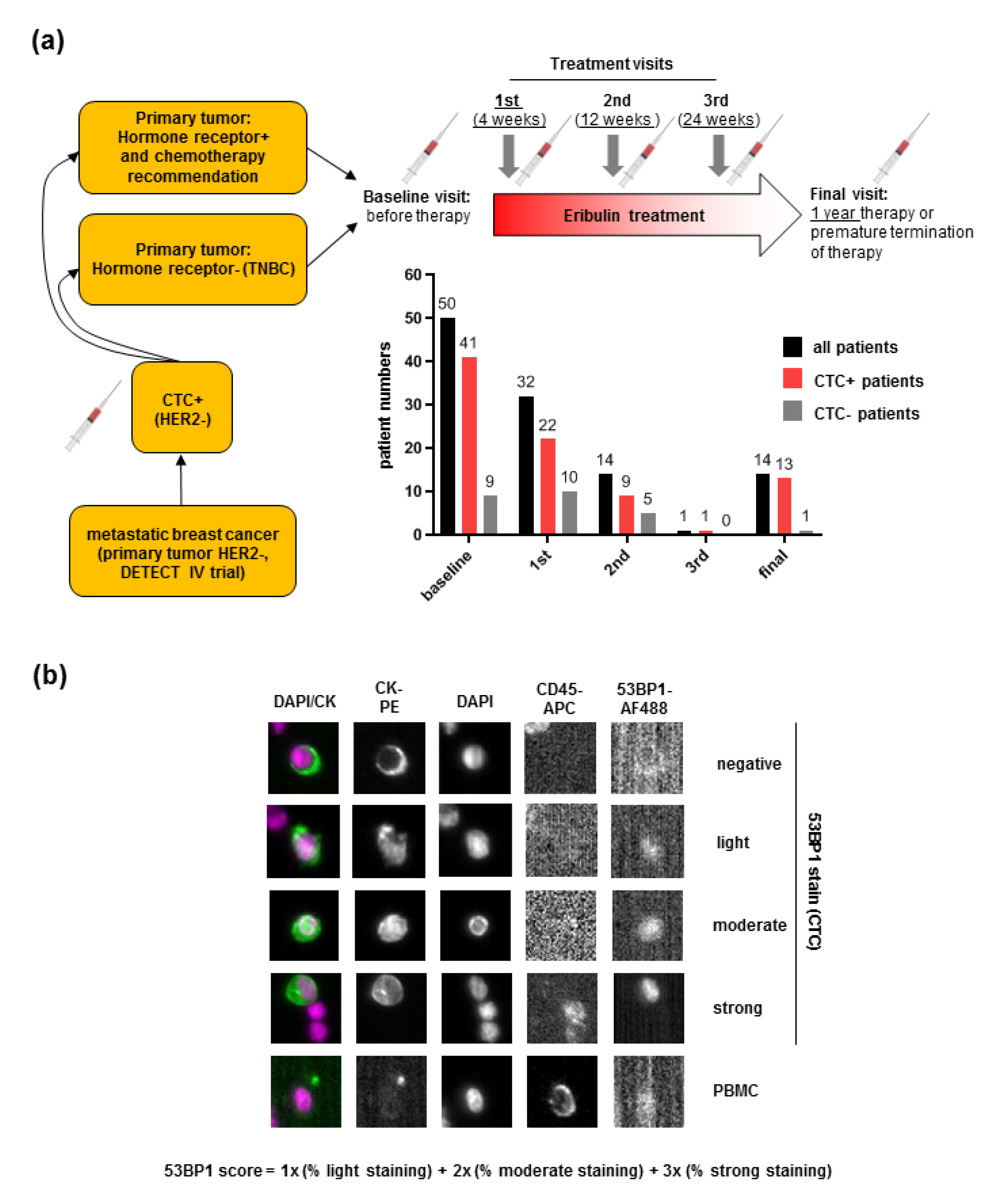 Cancers 12 00930 g001