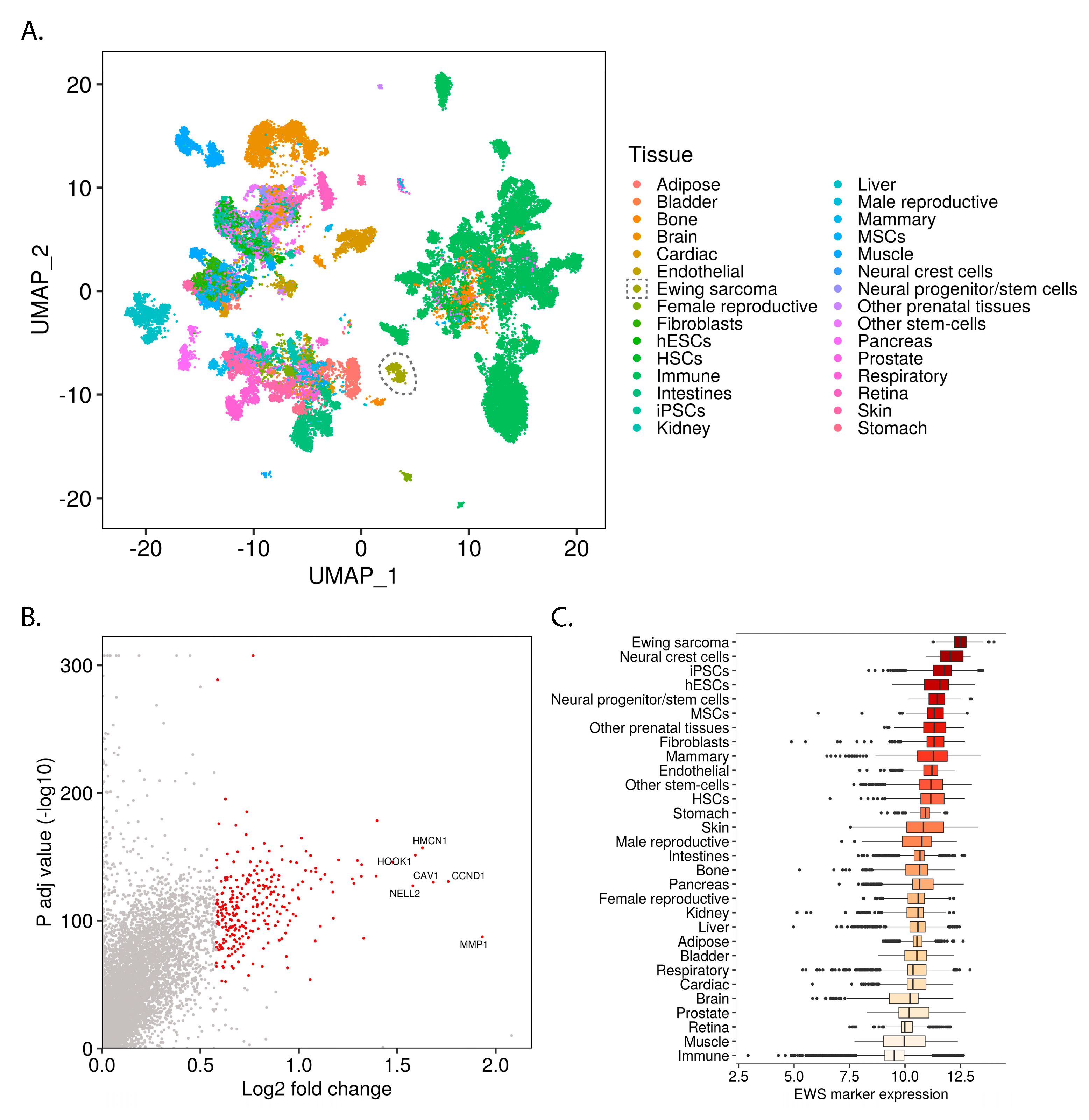 Cancers 12 00948 g001