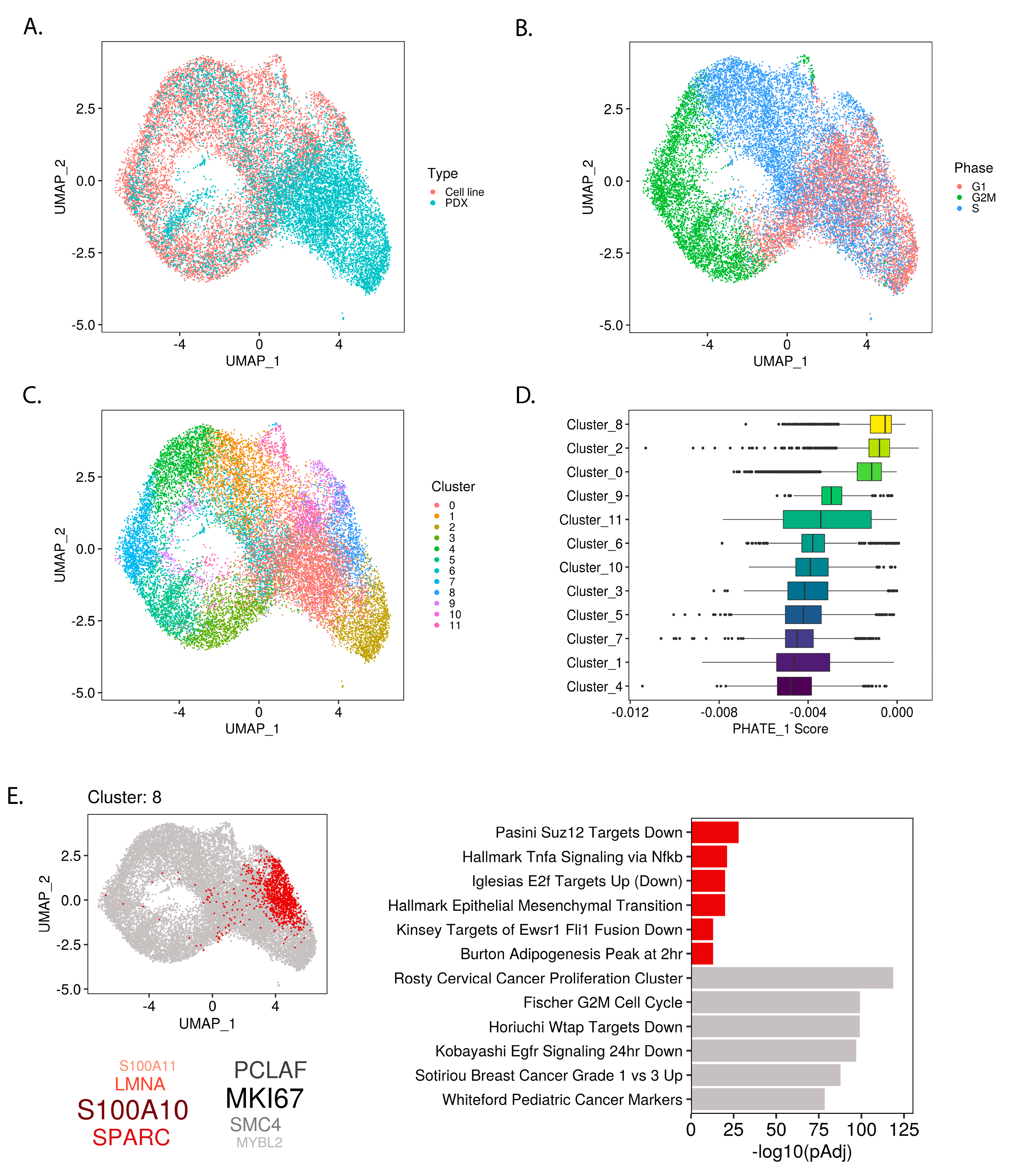 Cancers 12 00948 g004