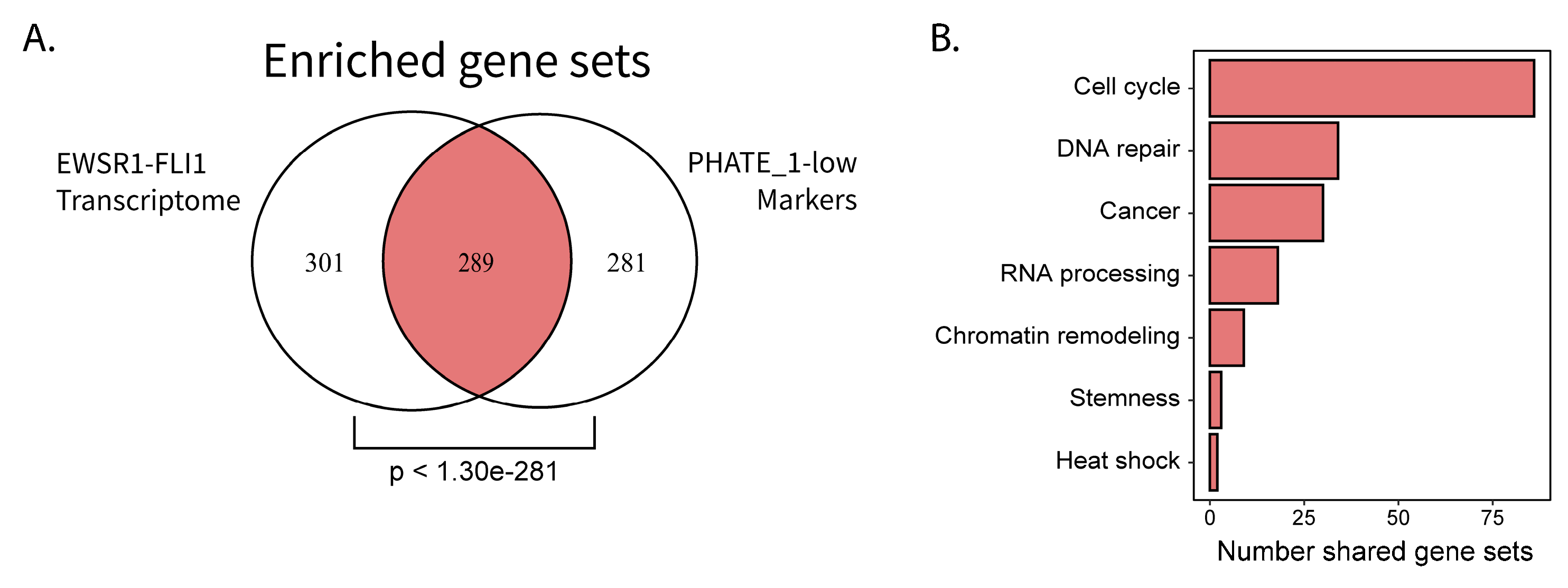 Cancers 12 00948 g005