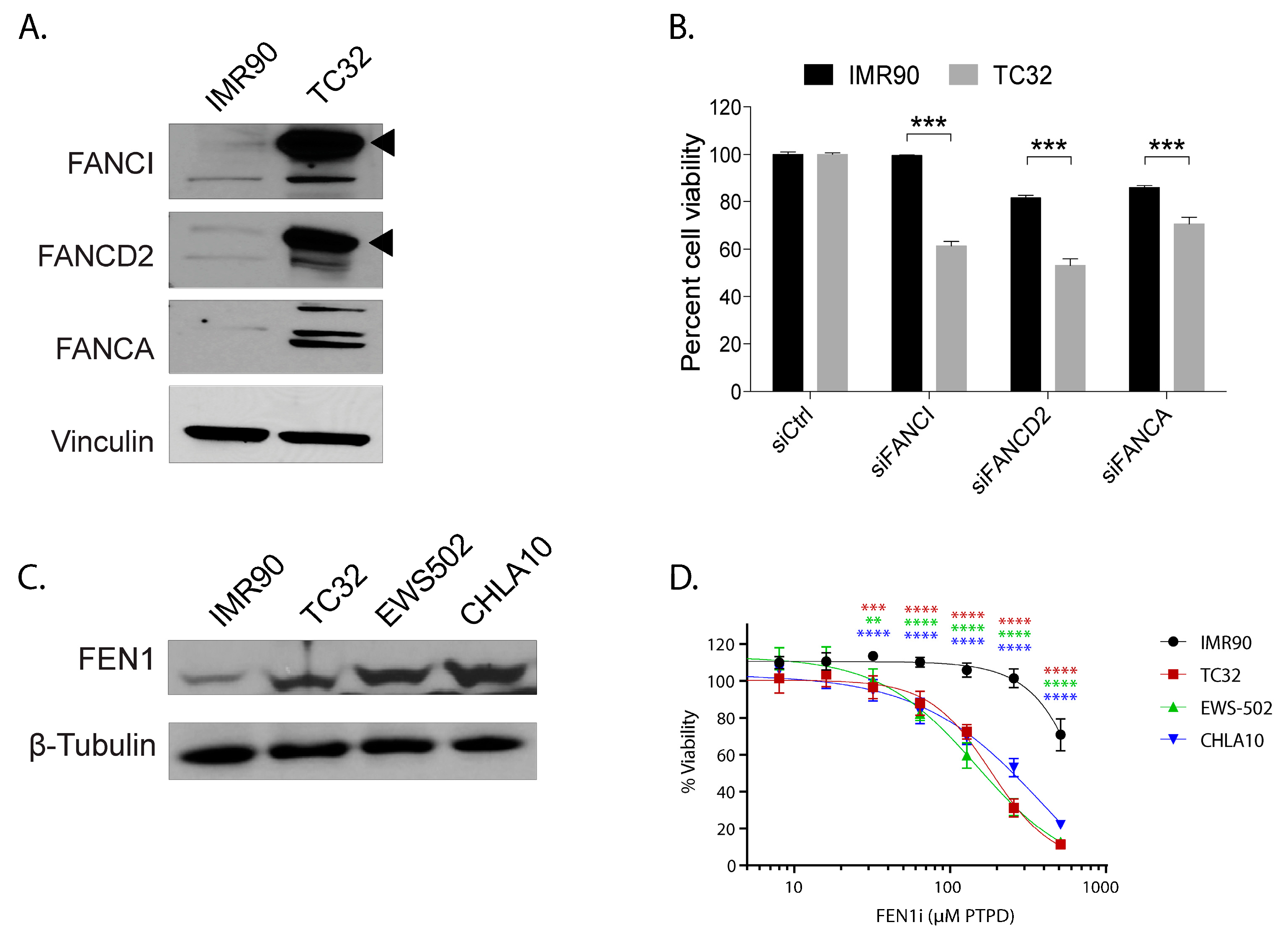 Cancers 12 00948 g007