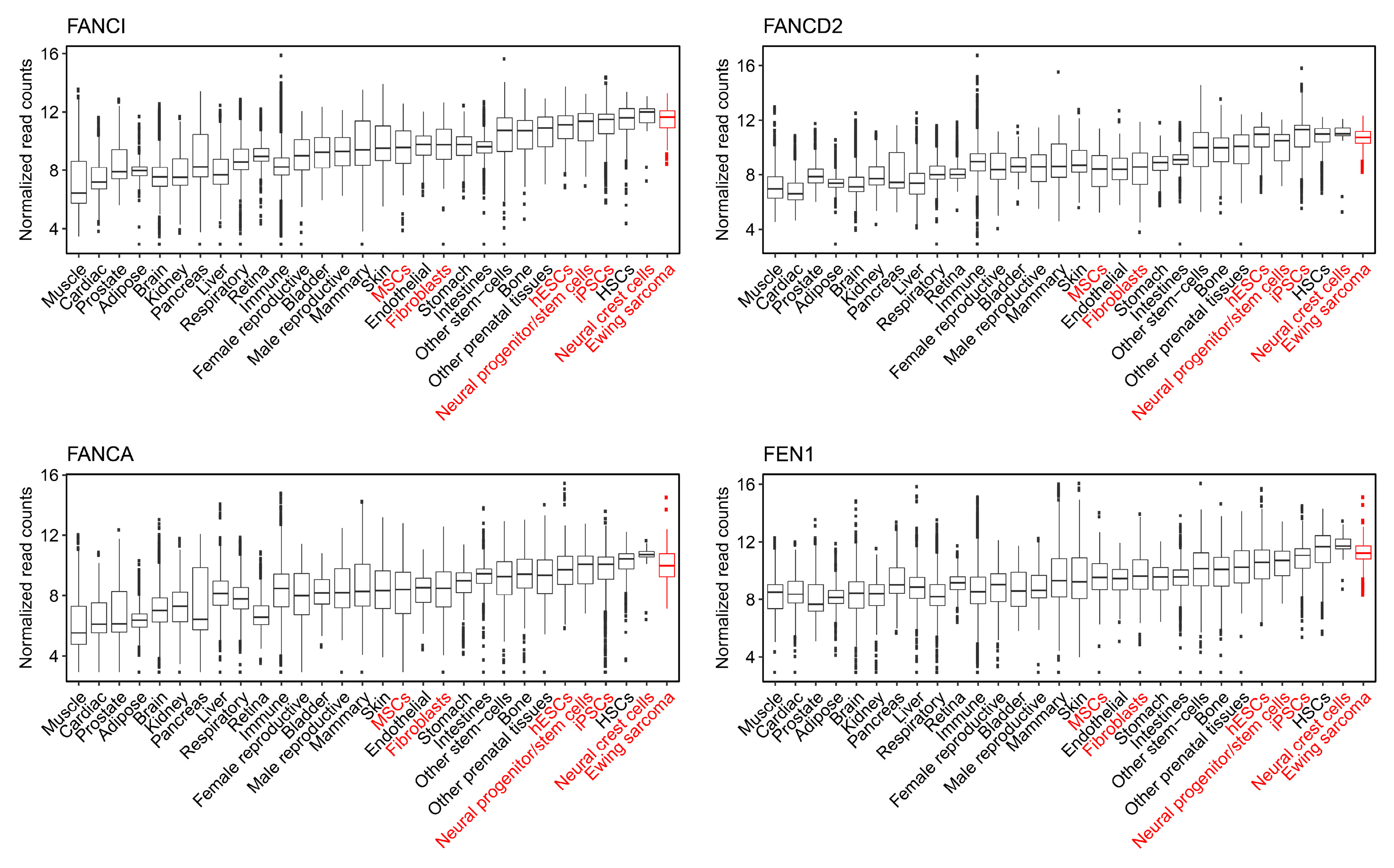 Cancers 12 00948 g008
