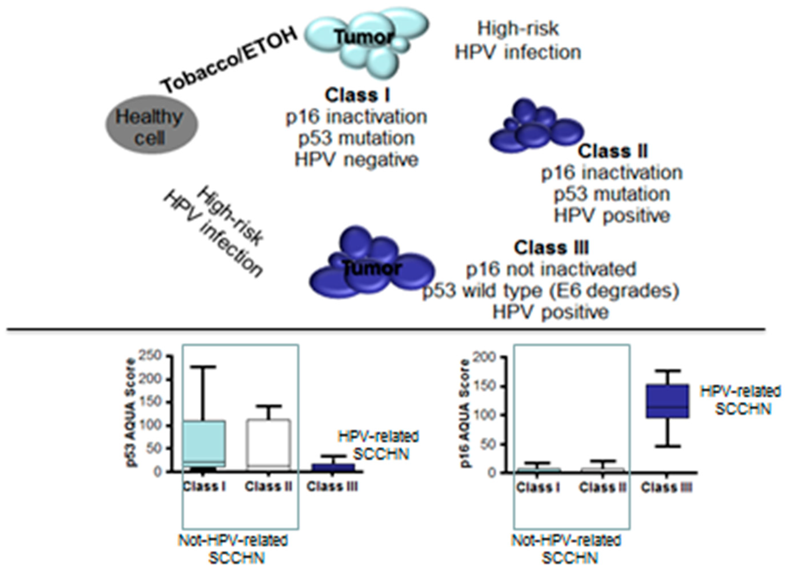Cancers 12 00975 g002