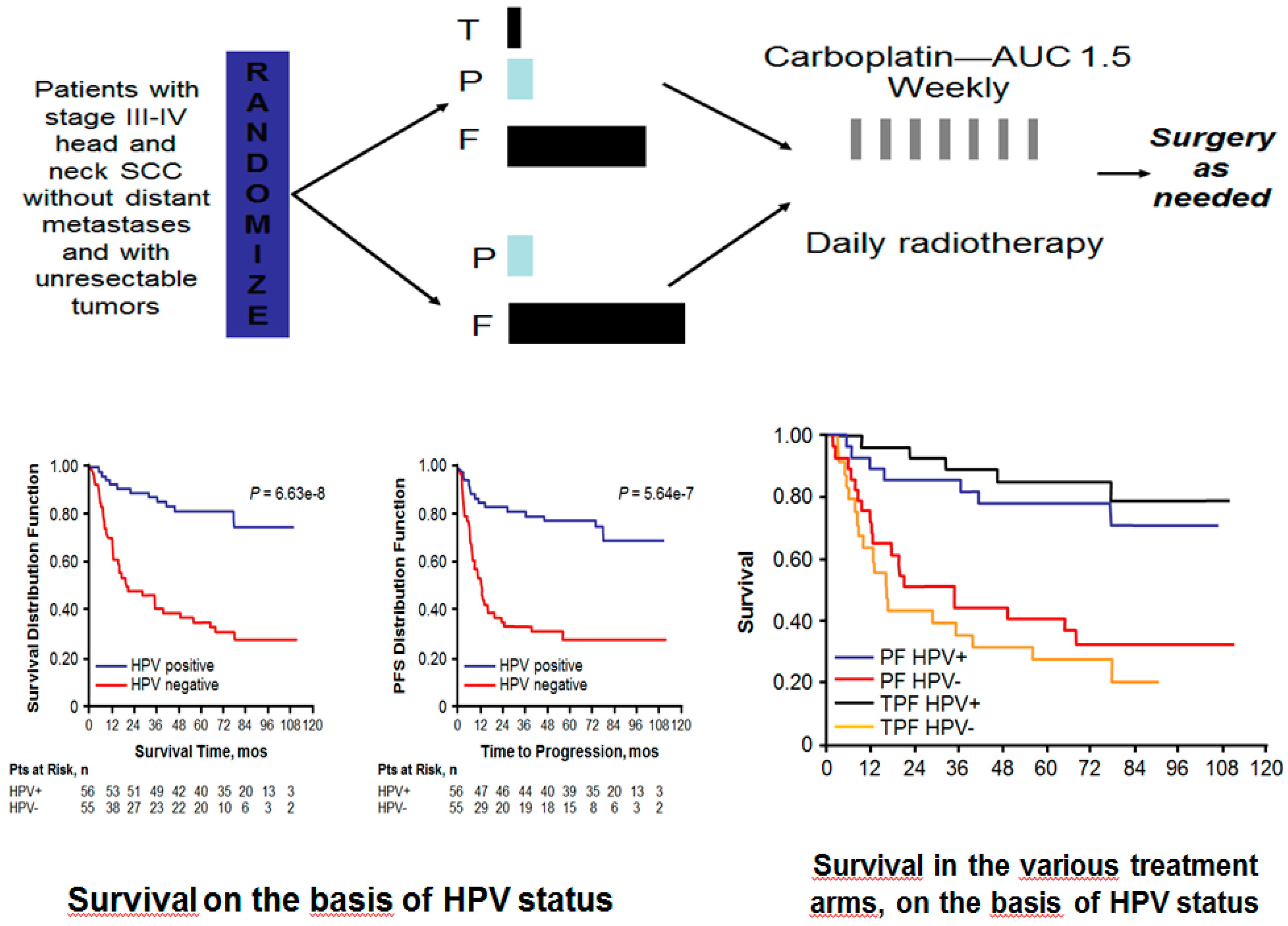 Cancers 12 00975 g003