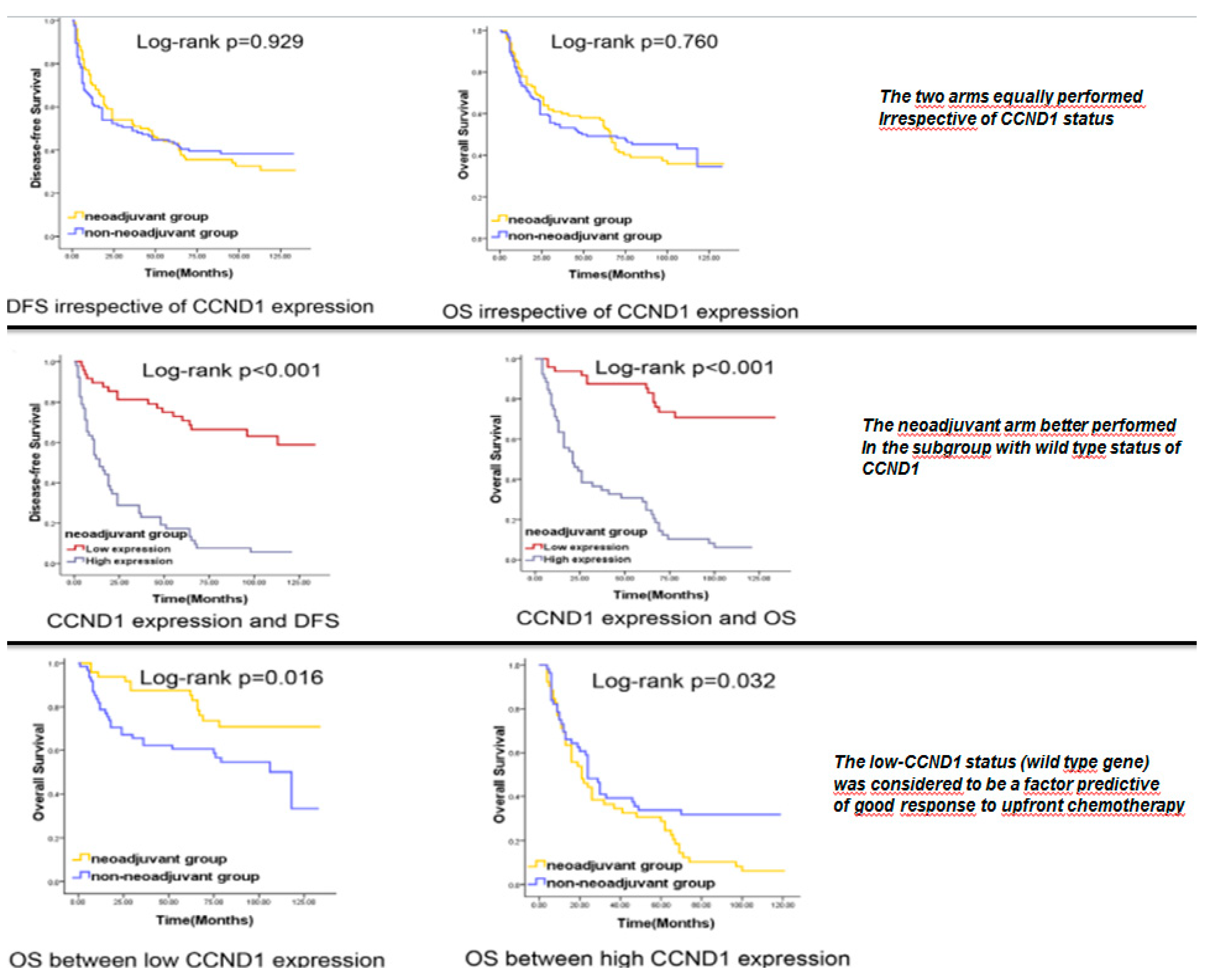 Cancers 12 00975 g004