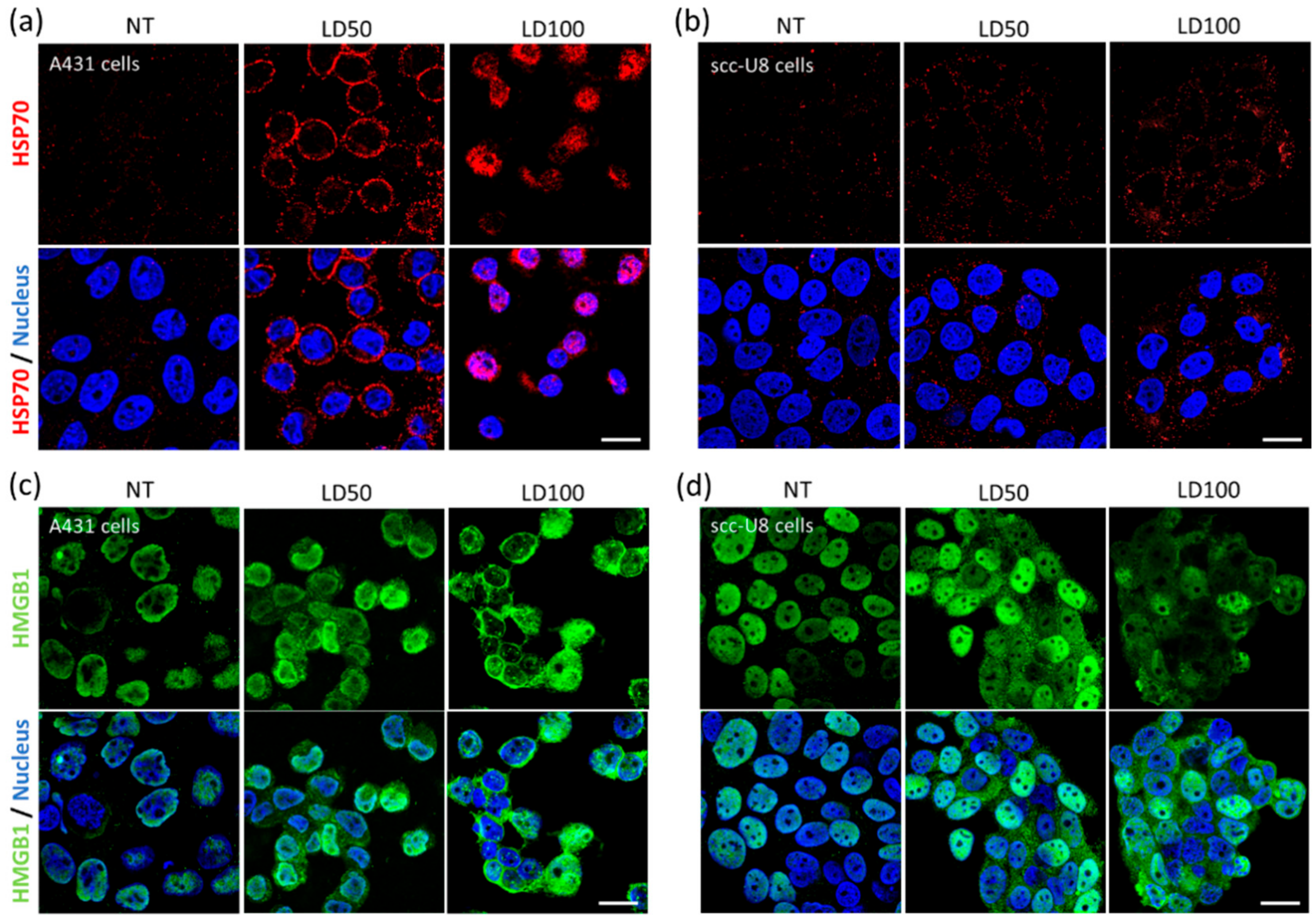 Cancers 12 00978 g002 Cancers 12 00978 g002