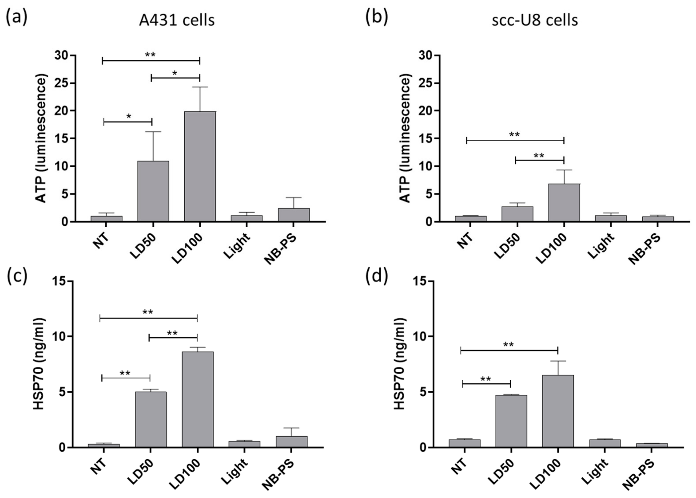 Cancers 12 00978 g003 Cancers 12 00978 g003