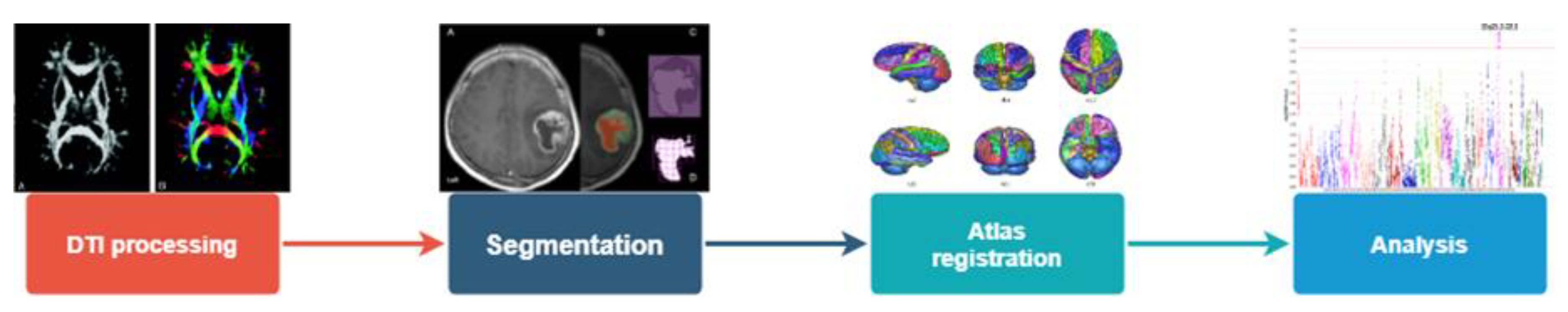 Cancers 12 00994 g001