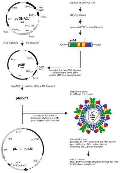 Cancers 12 01000 g0a2
