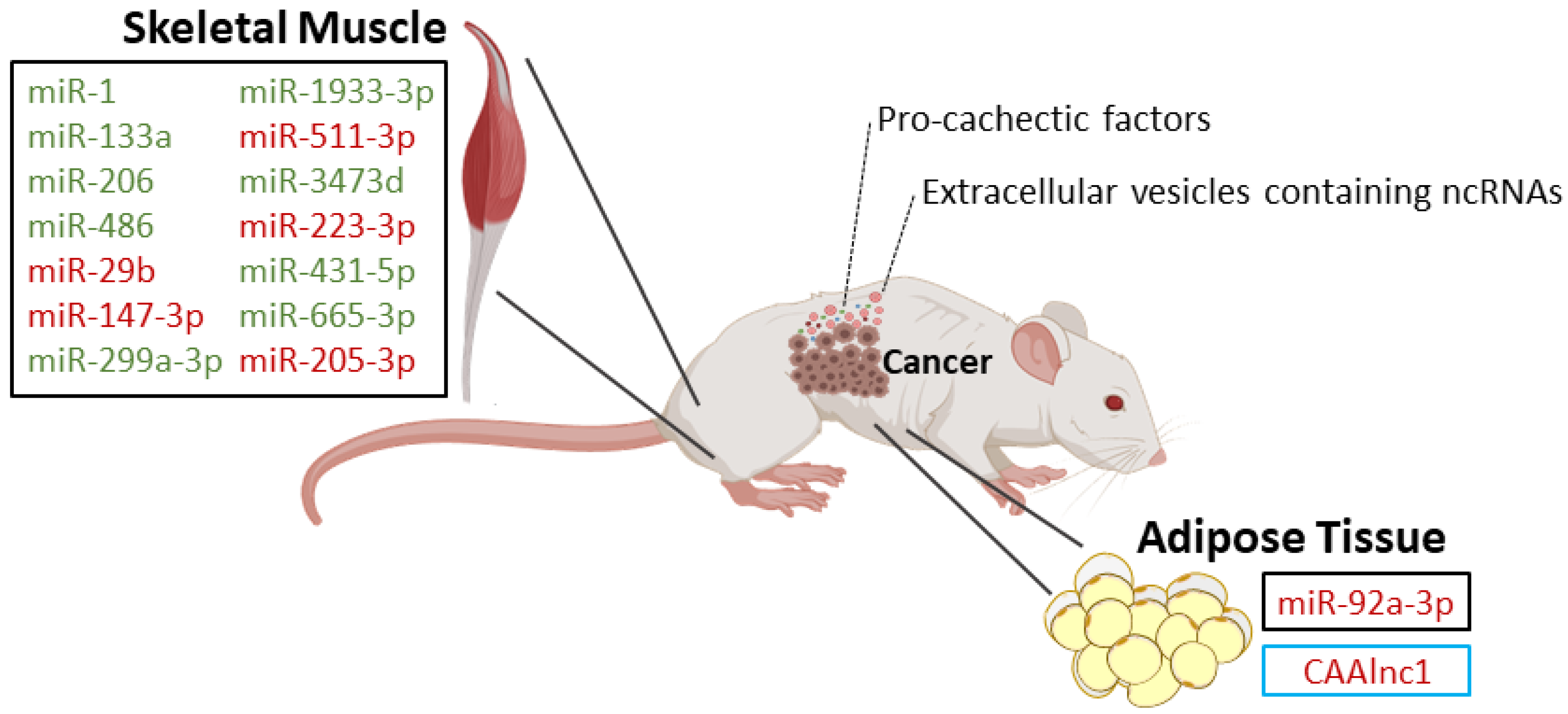 Cancers 12 01004 g001