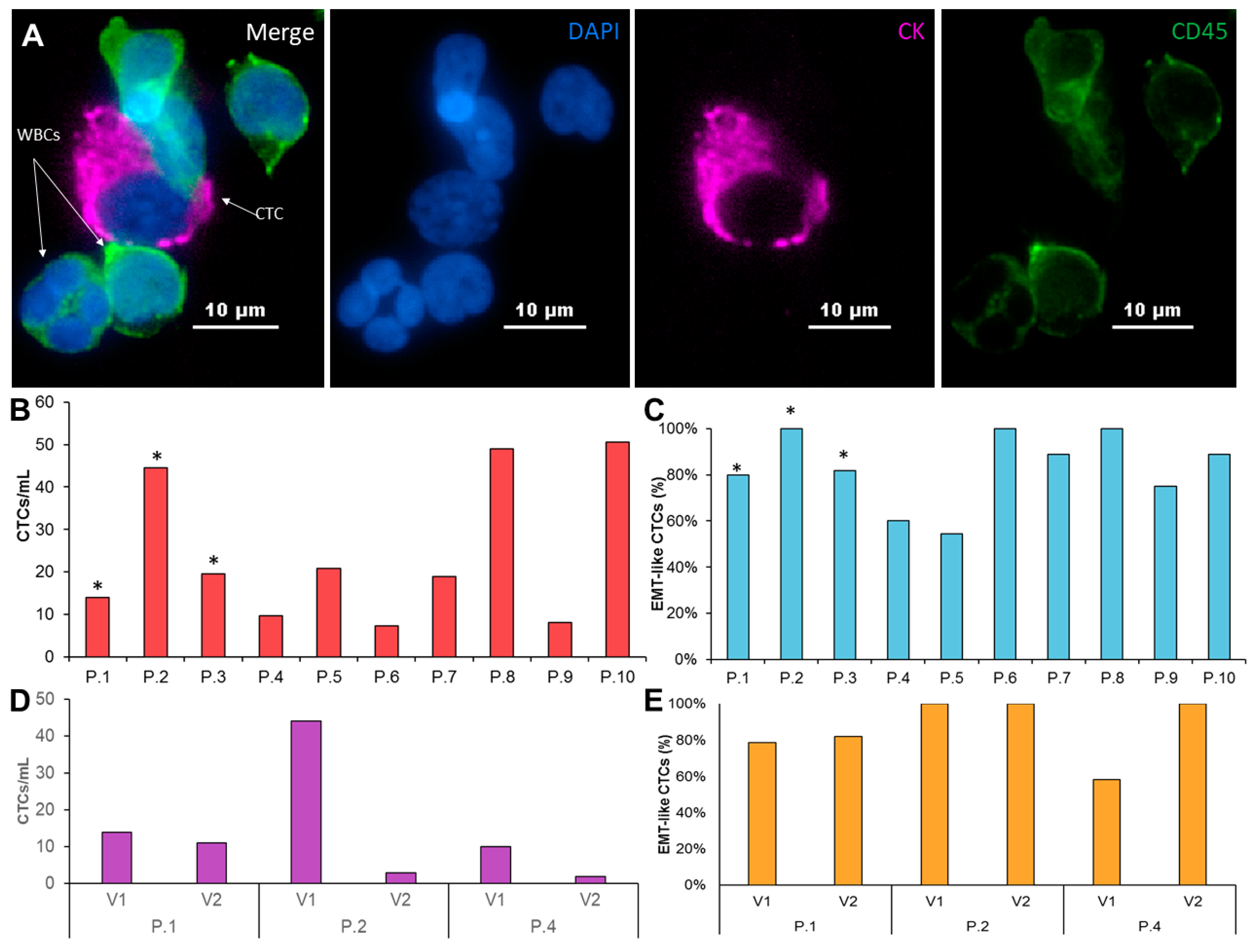Cancers 12 01011 g002 Cancers 12 01011 g002