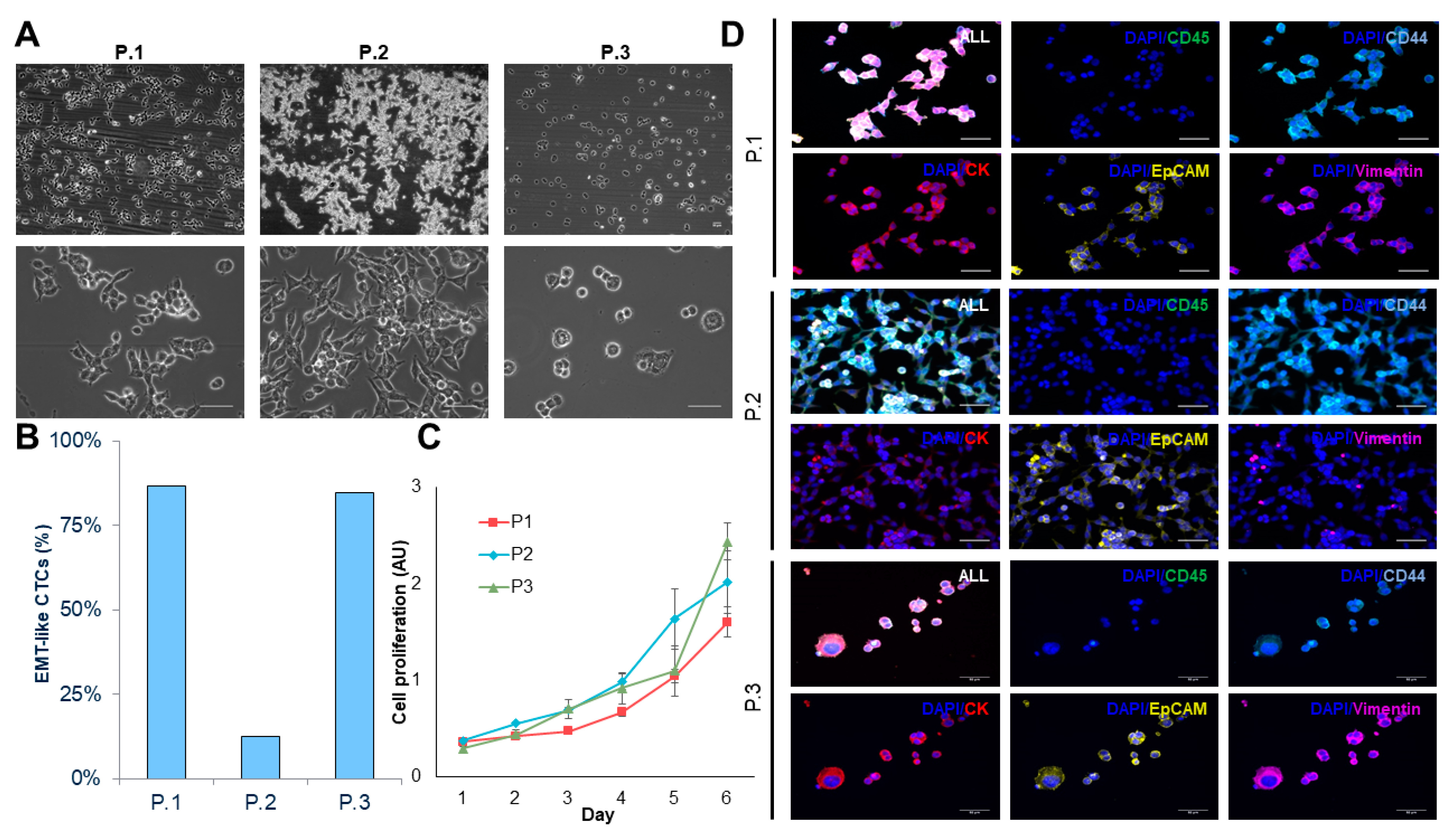 Cancers 12 01011 g003 Cancers 12 01011 g003