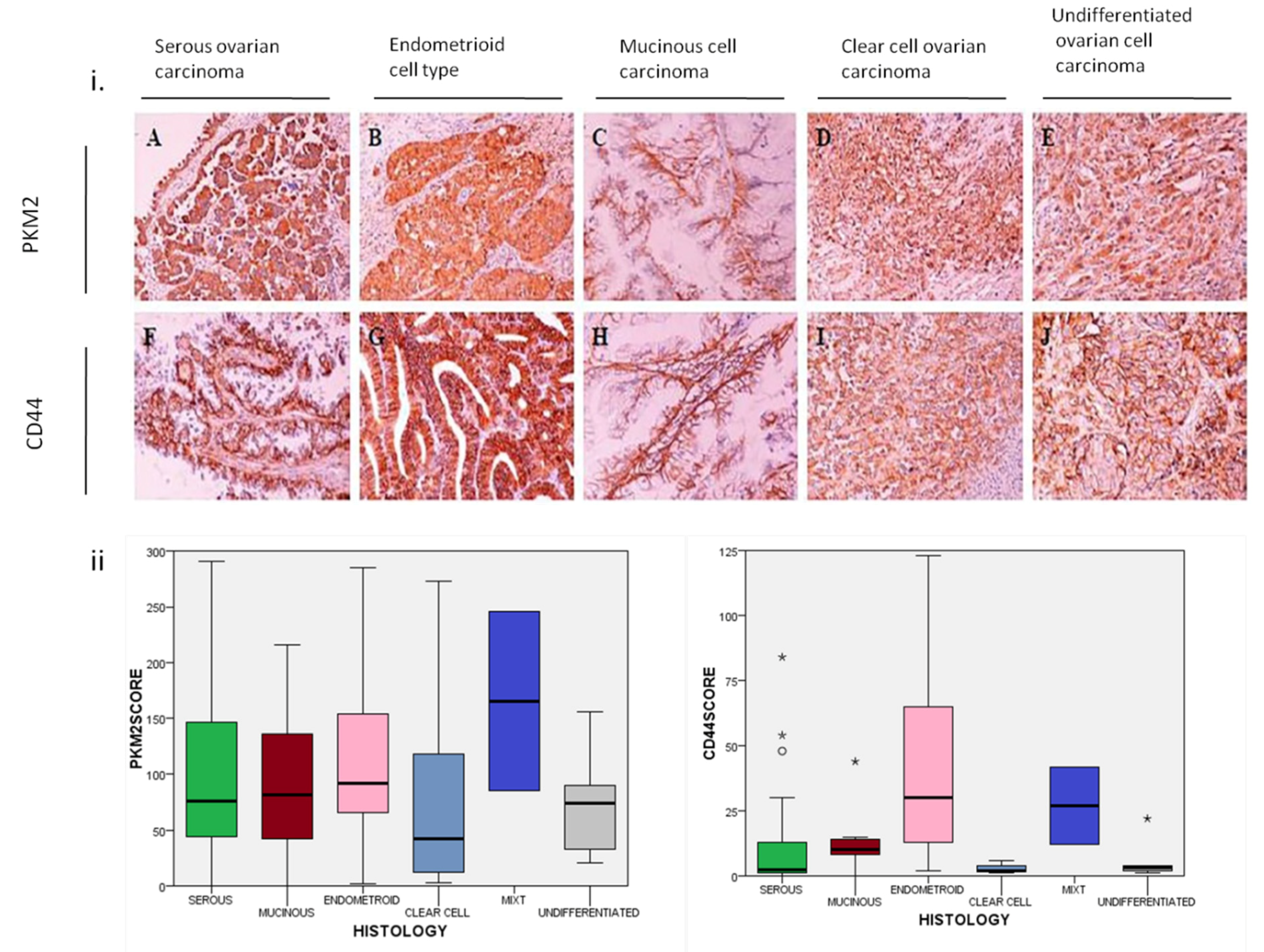 Cancers 12 01013 g001