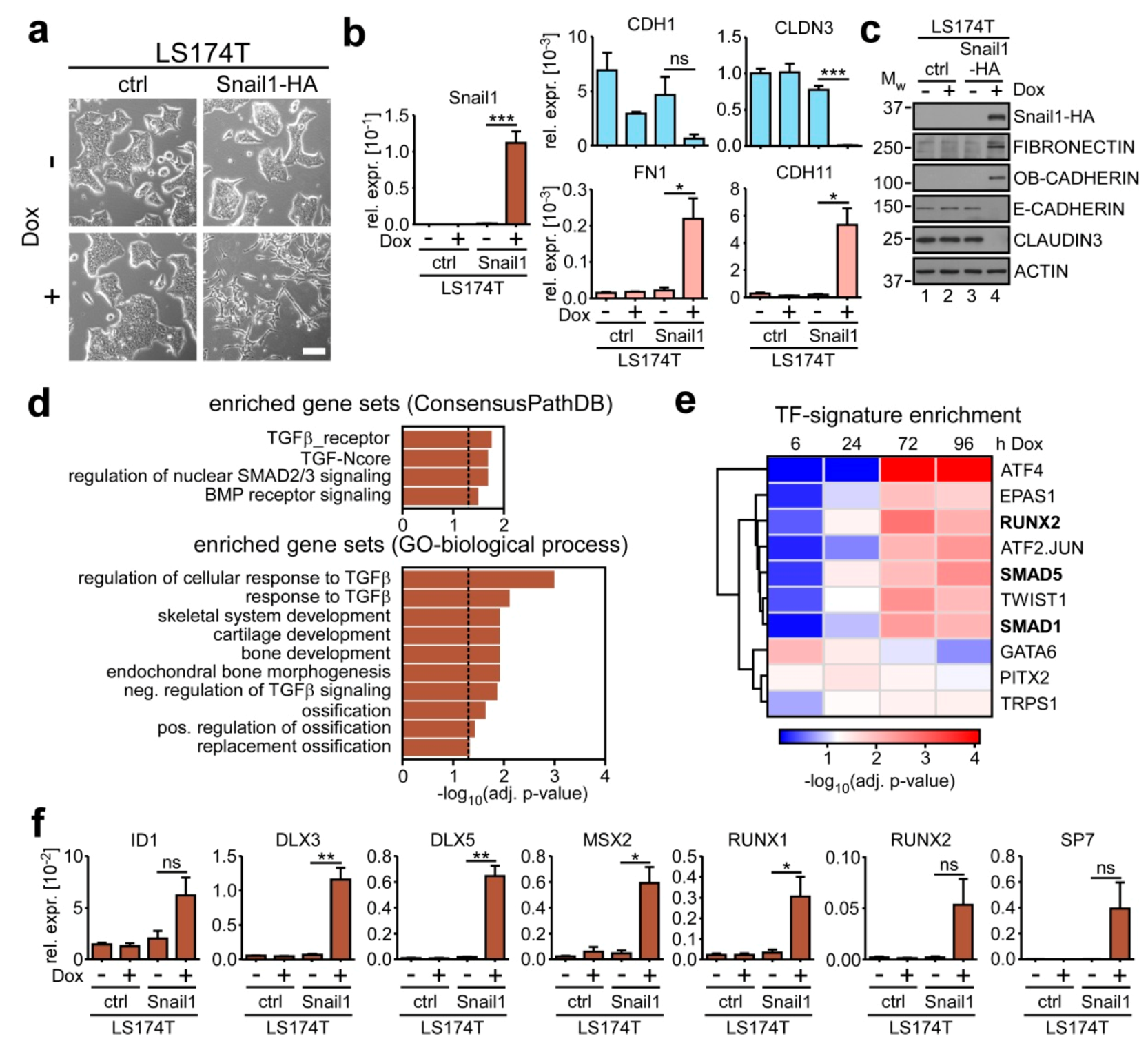 Cancers 12 01019 g001