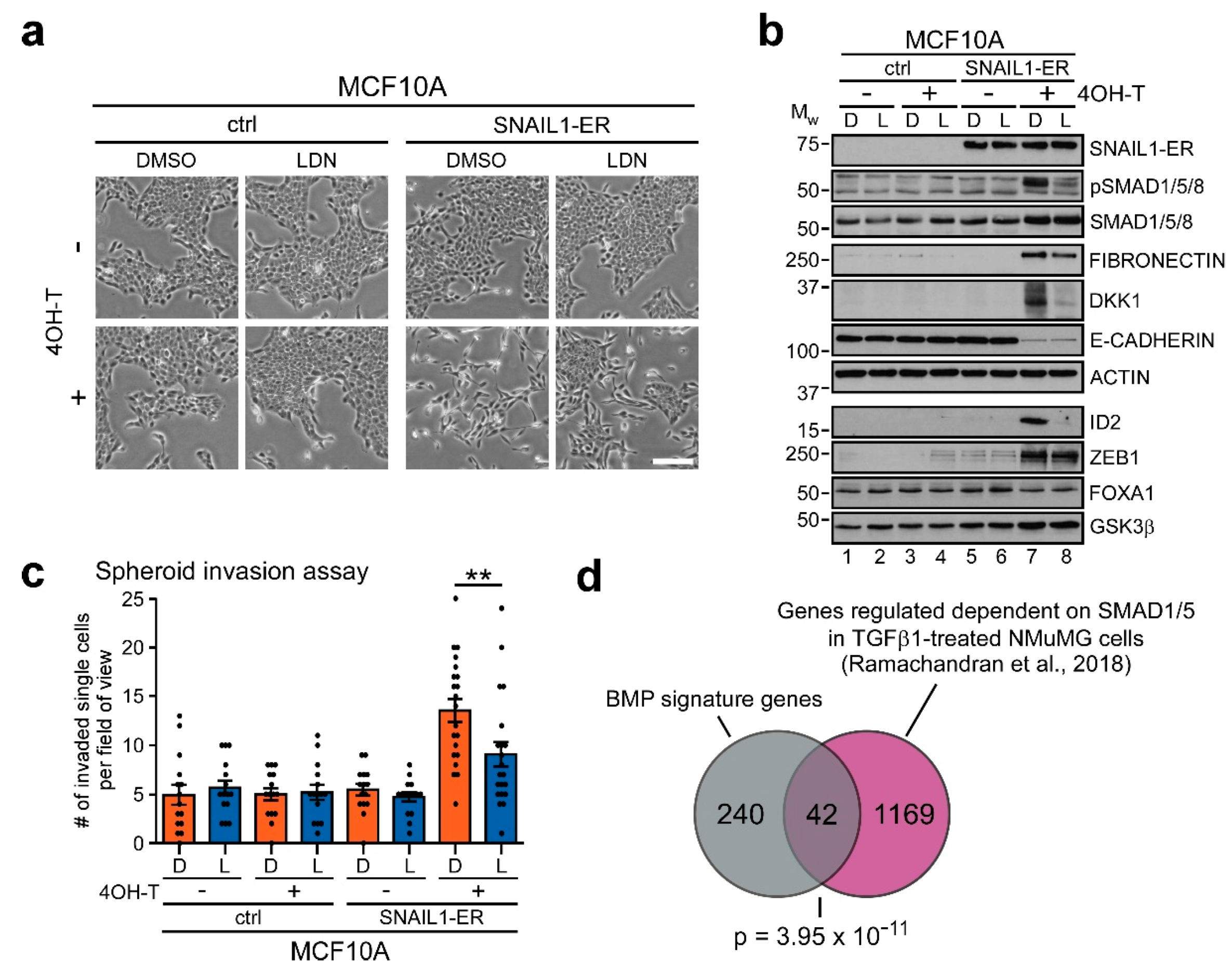 Cancers 12 01019 g006