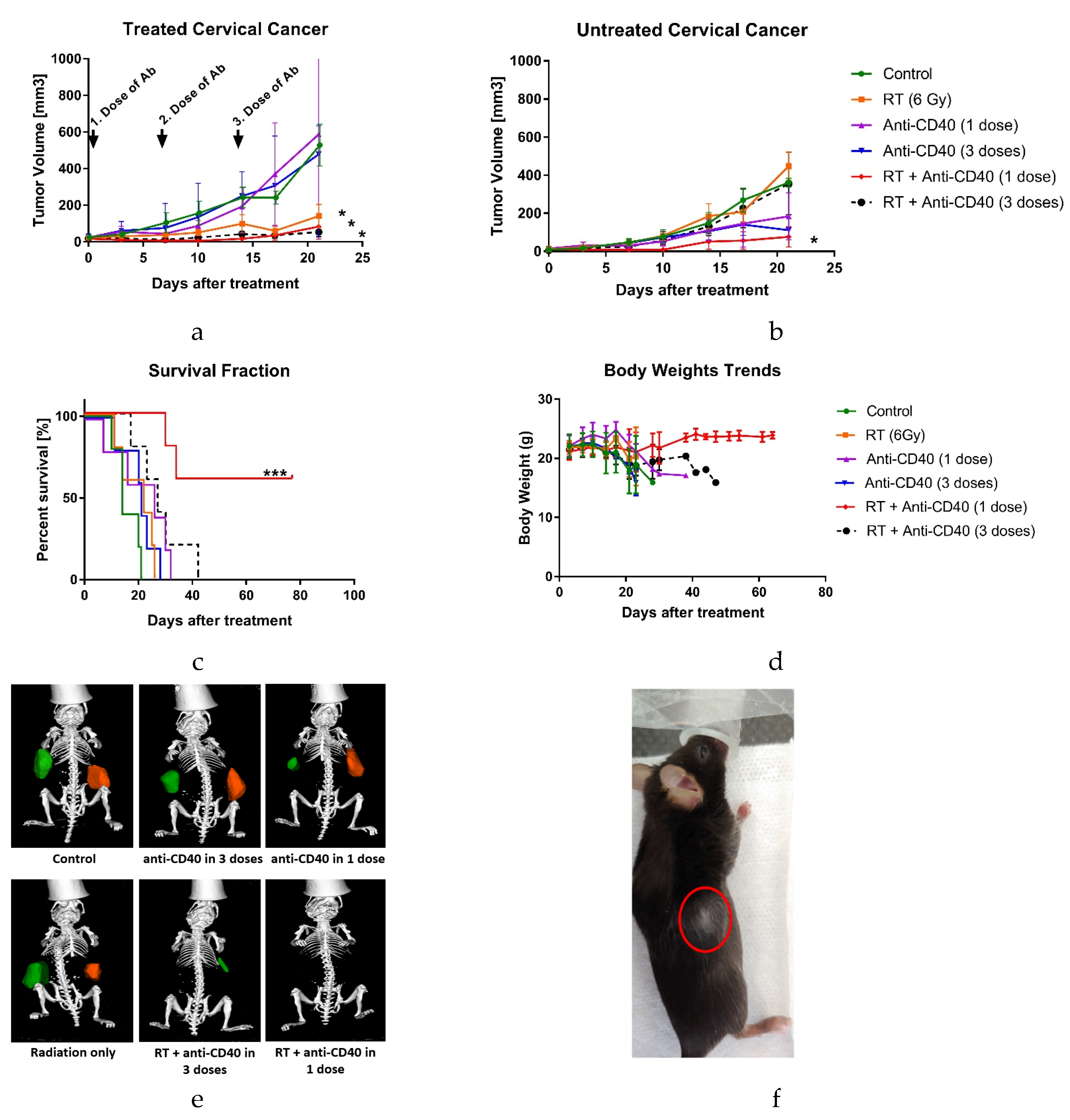 Cancers 12 01026 g004