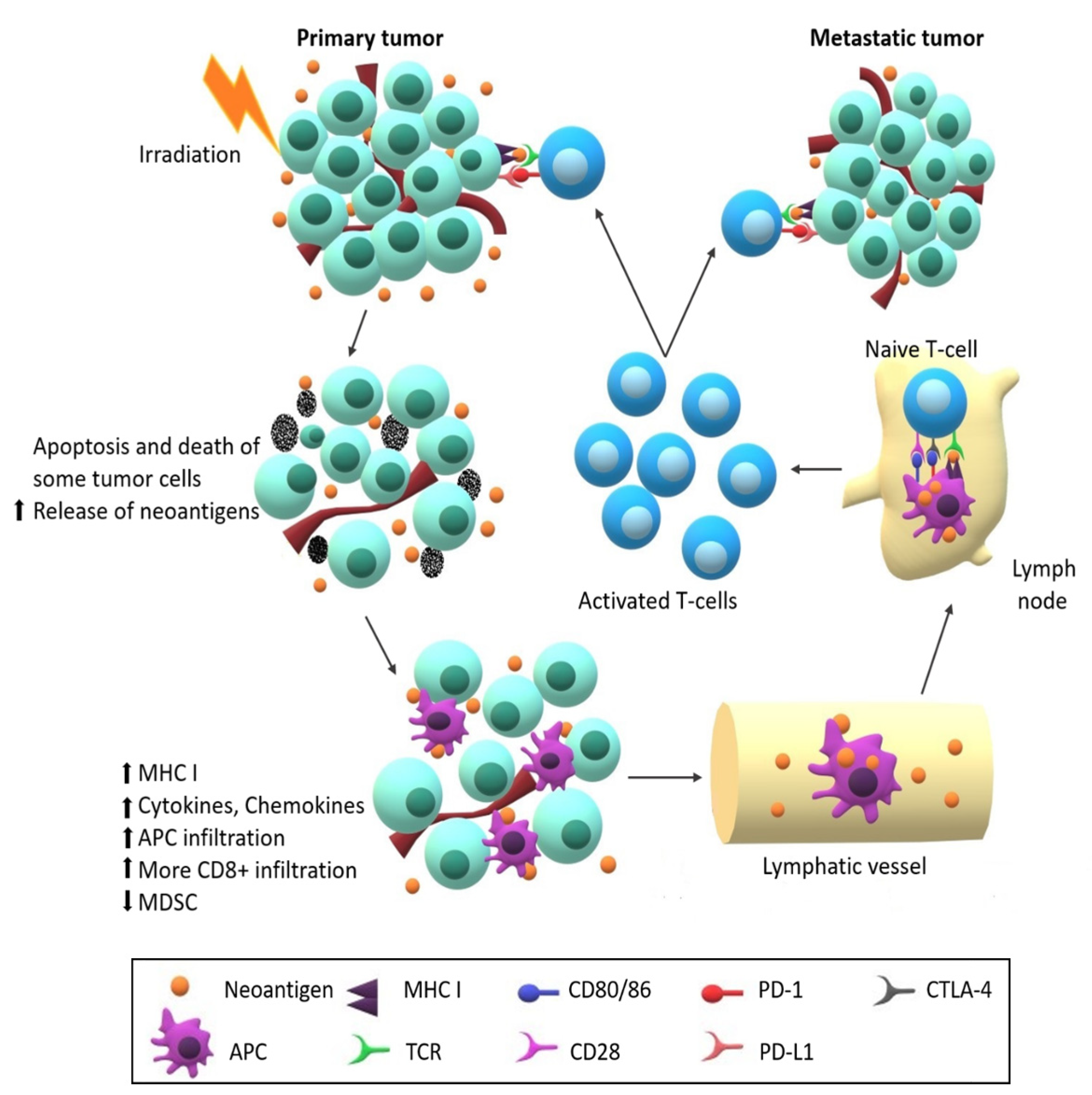 Cancers 12 01026 g005