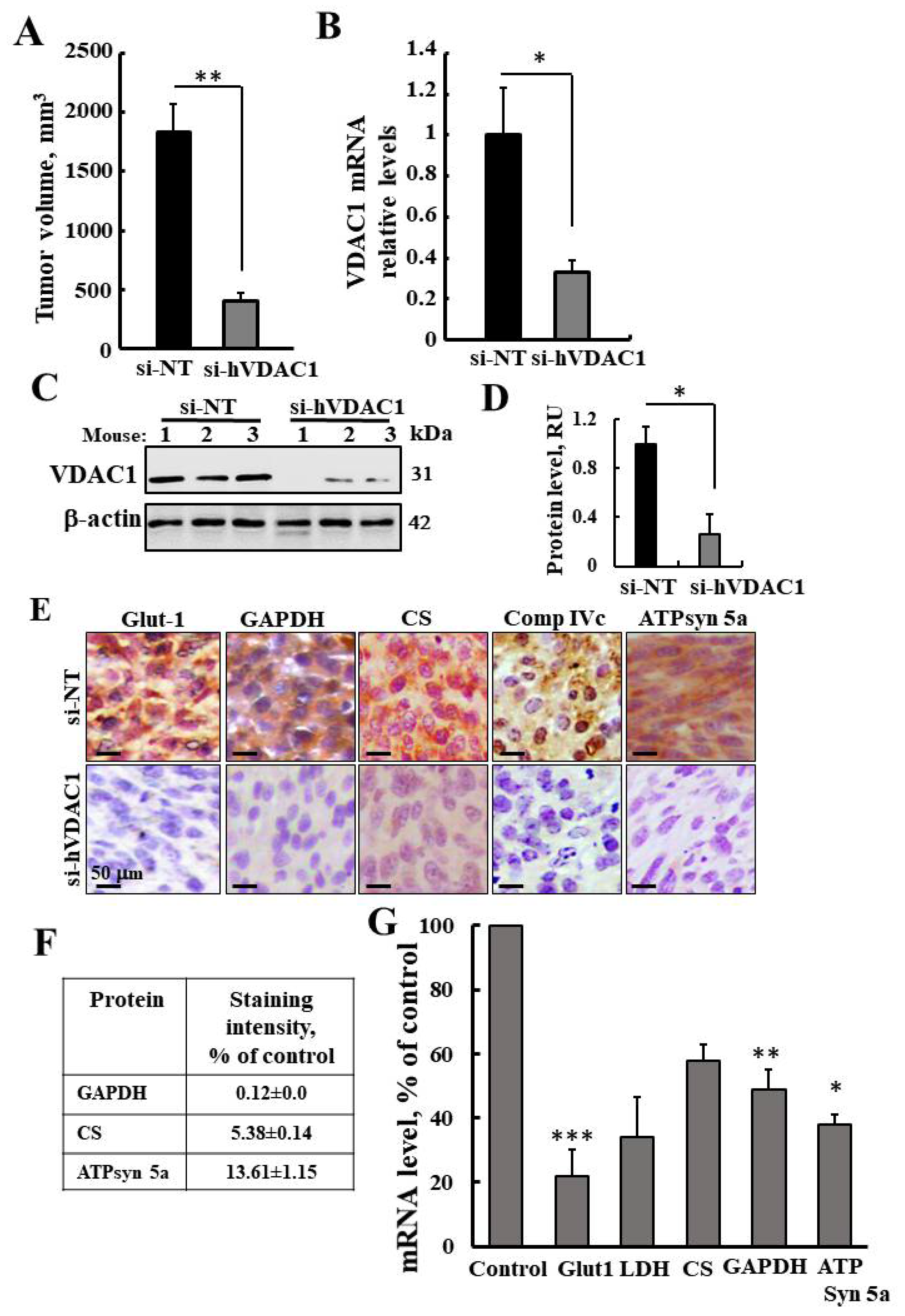 Cancers 12 01031 g001